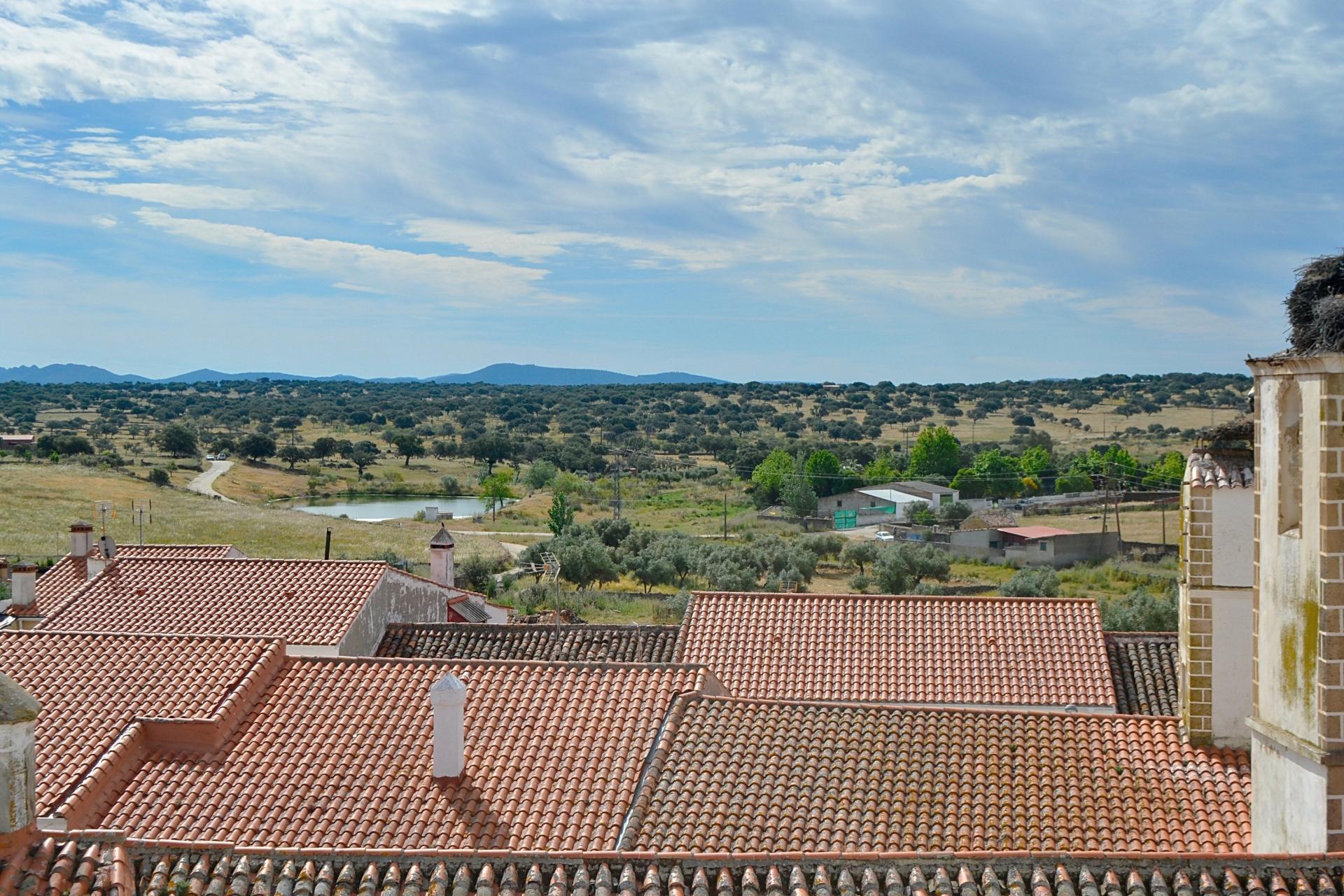 Foto 42 del anuncio.