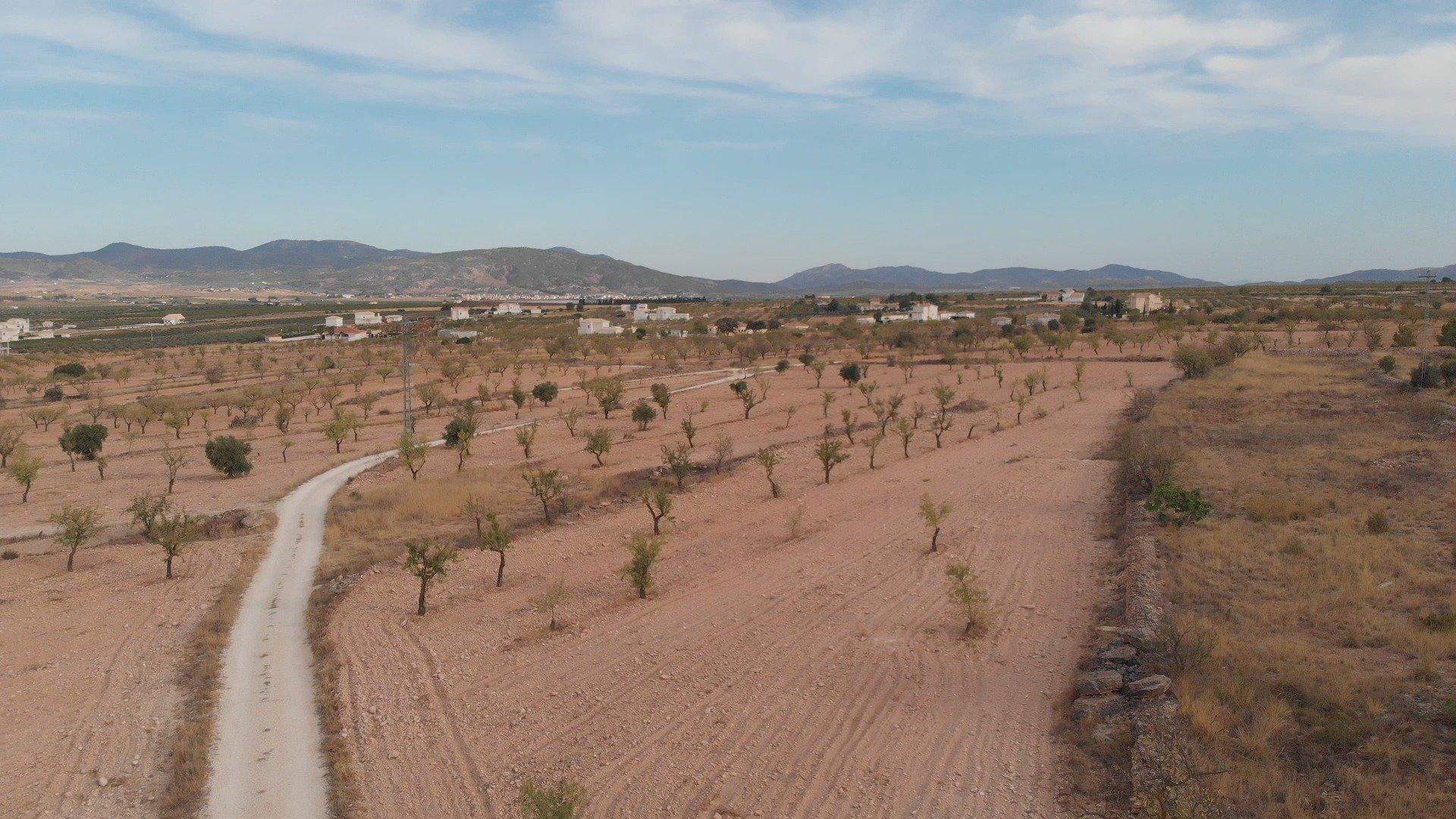 Photo-terrain
