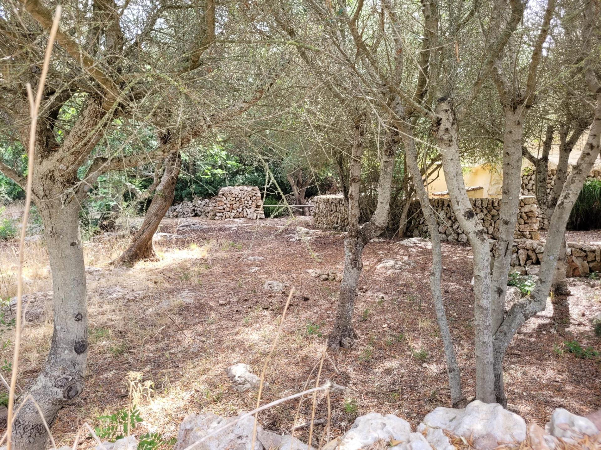 Foto 19 del anuncio.