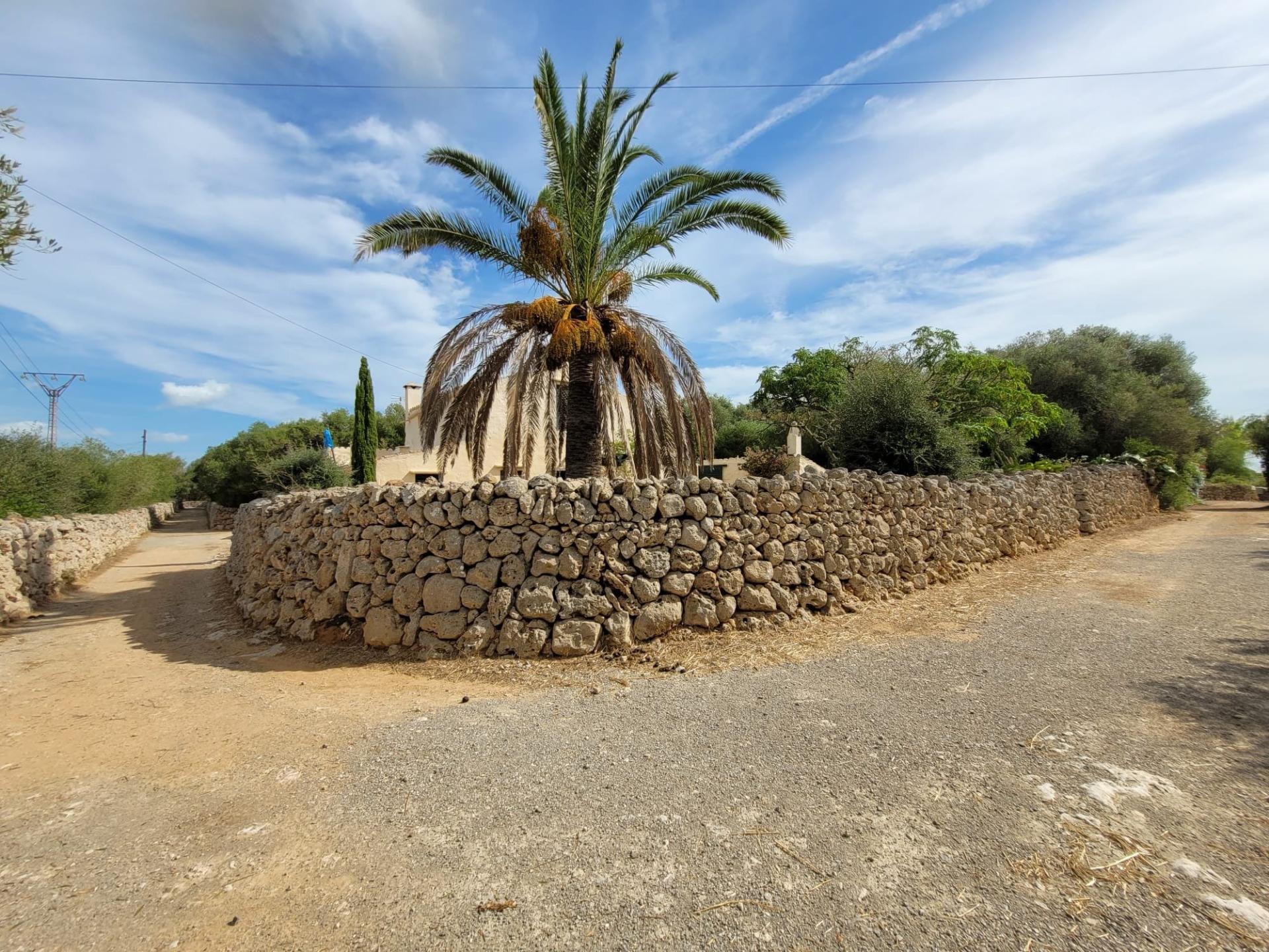 Foto 44 del anuncio.