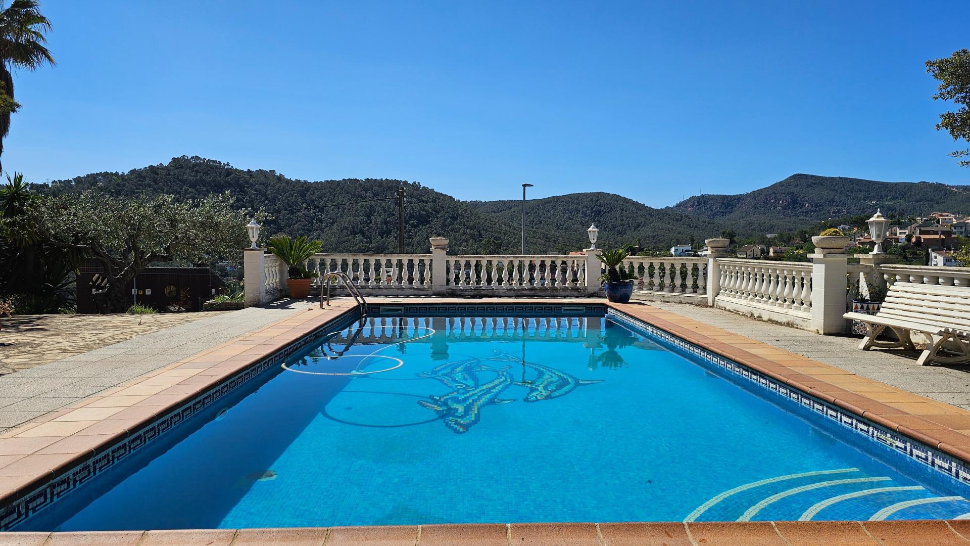 Photo 4 de l'annonce.