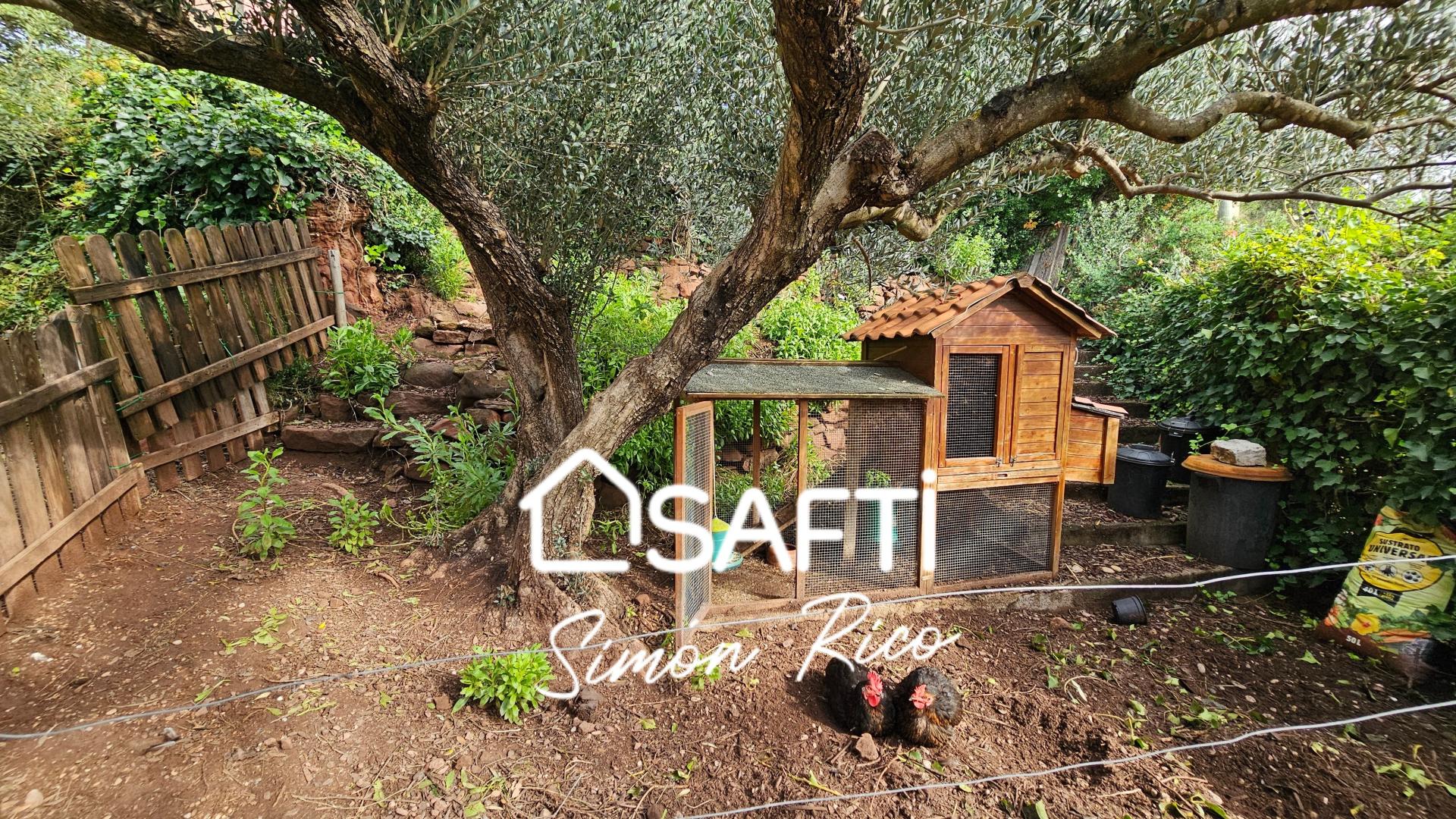 Photo 44 de l'annonce.