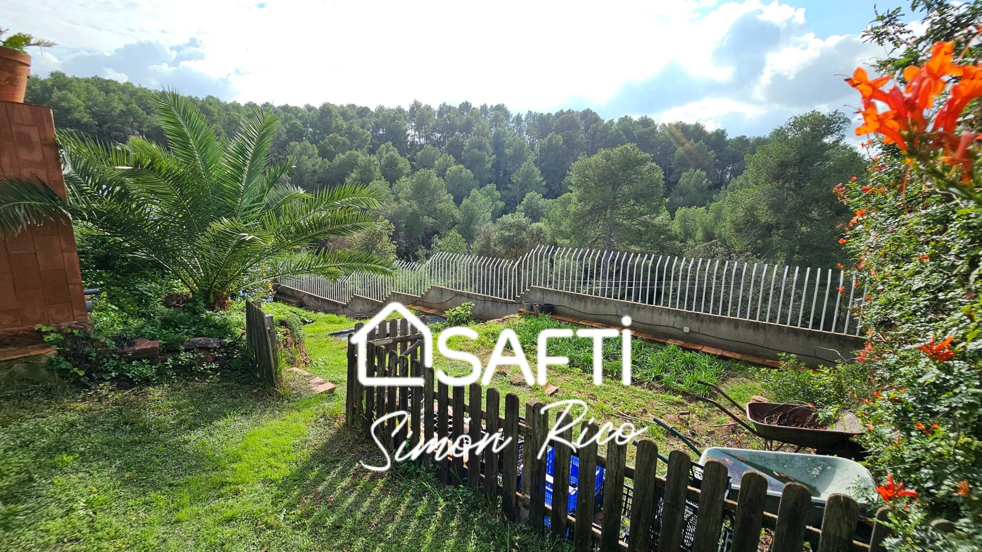 Photo 46 de l'annonce.