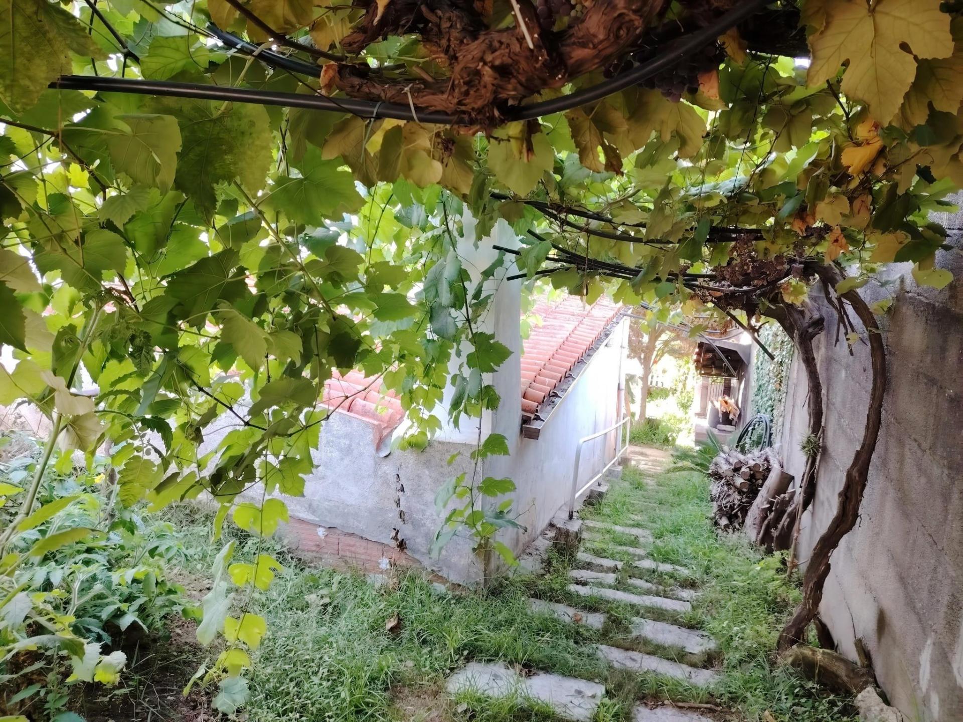 Photo 42 de l'annonce.