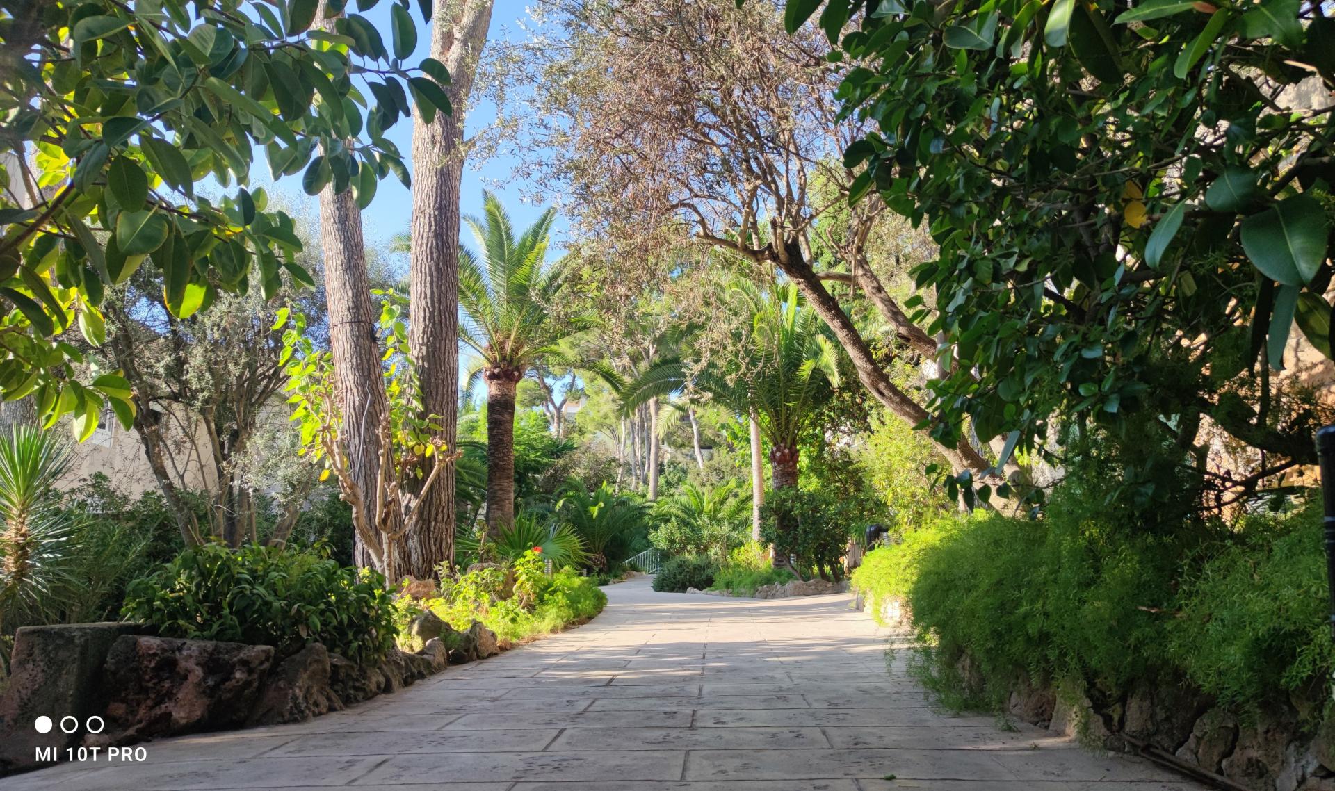 Photo 14 de l'annonce.