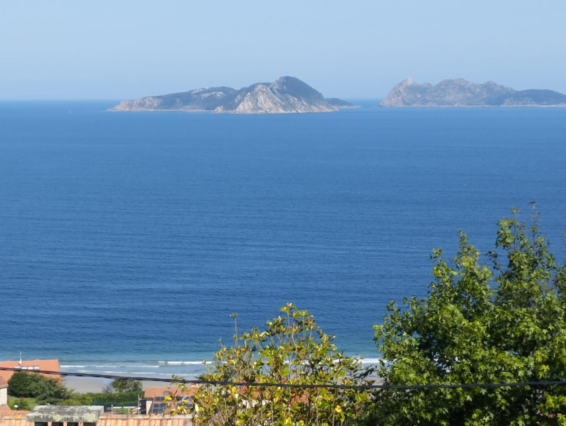 Photo 2 de l'annonce.