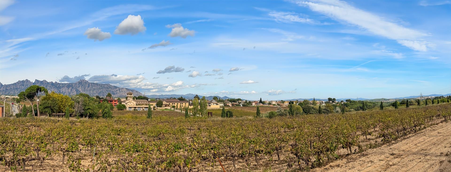 Photo 56 de l'annonce.