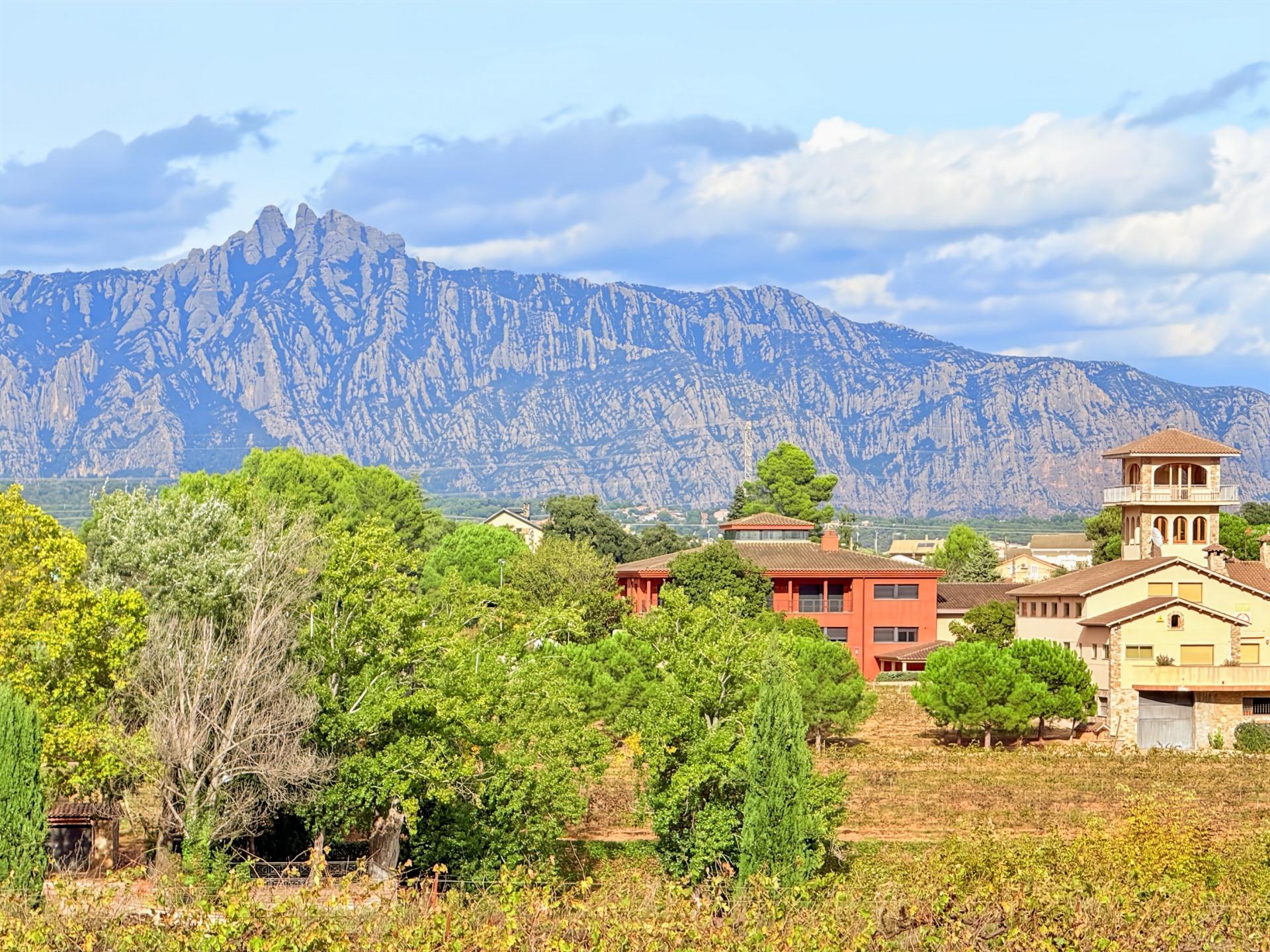 Photo 55 de l'annonce.