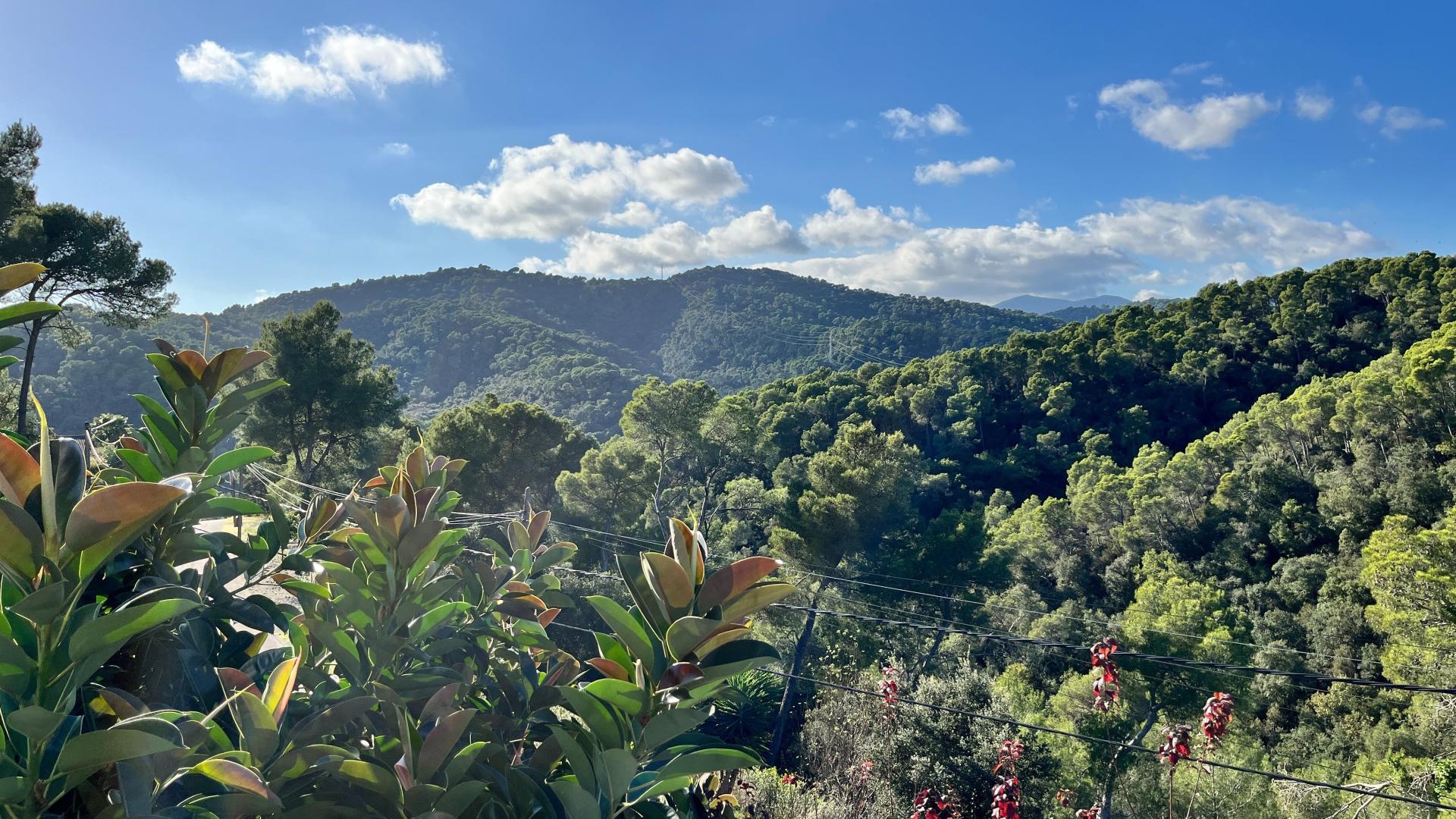 Foto 50 del anuncio.