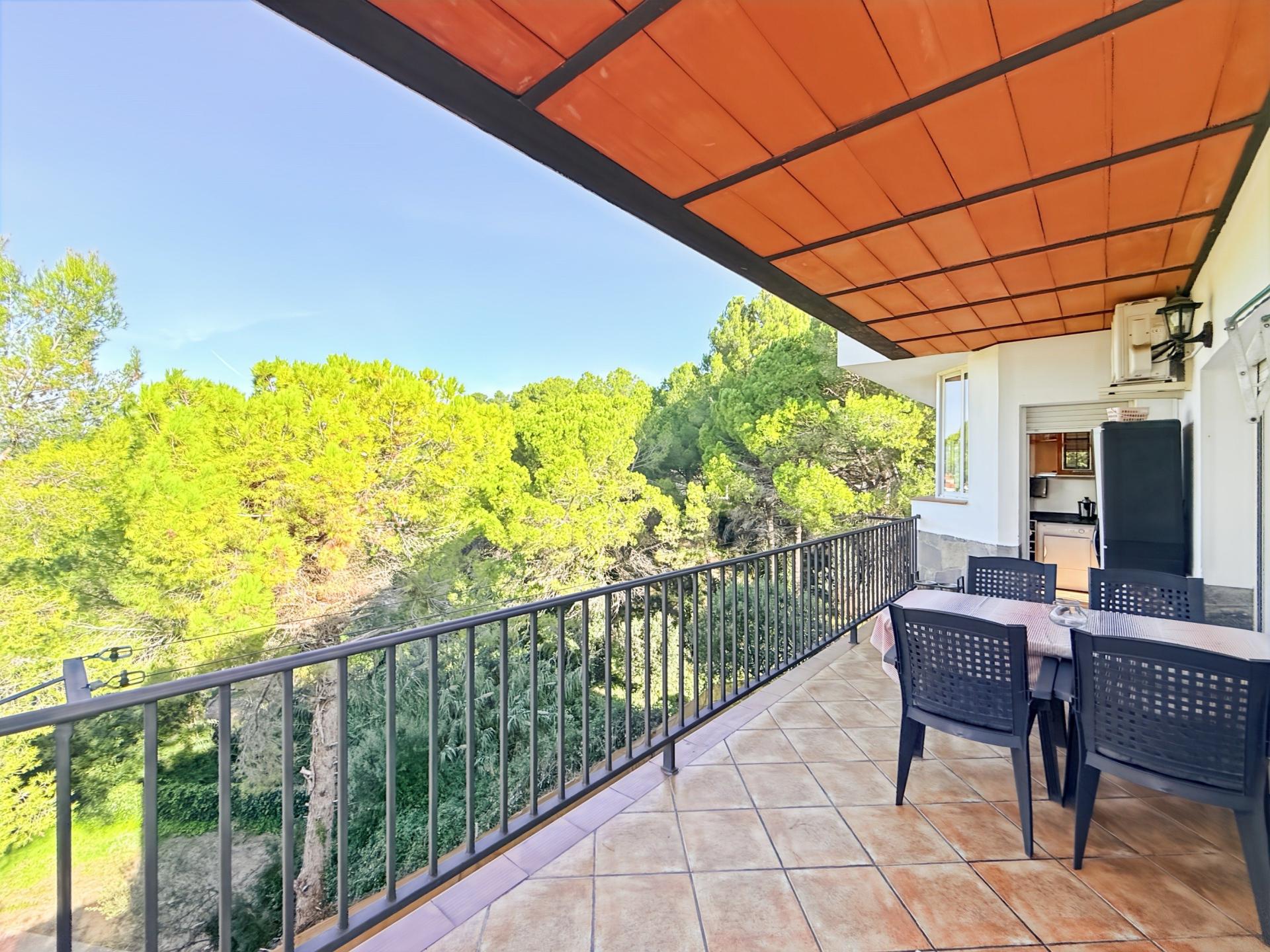 Photo 12 de l'annonce.