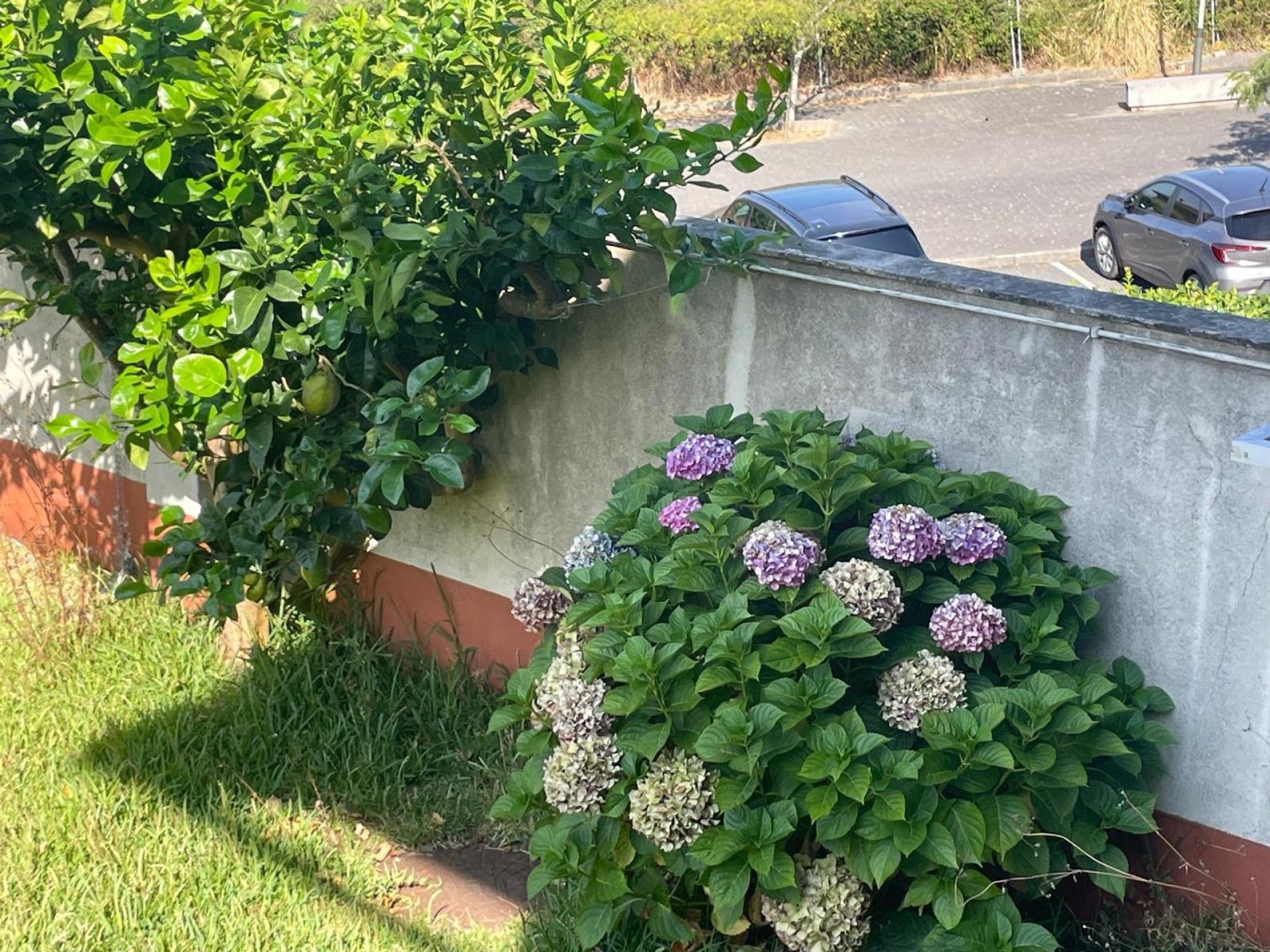 Photo 21 de l'annonce.