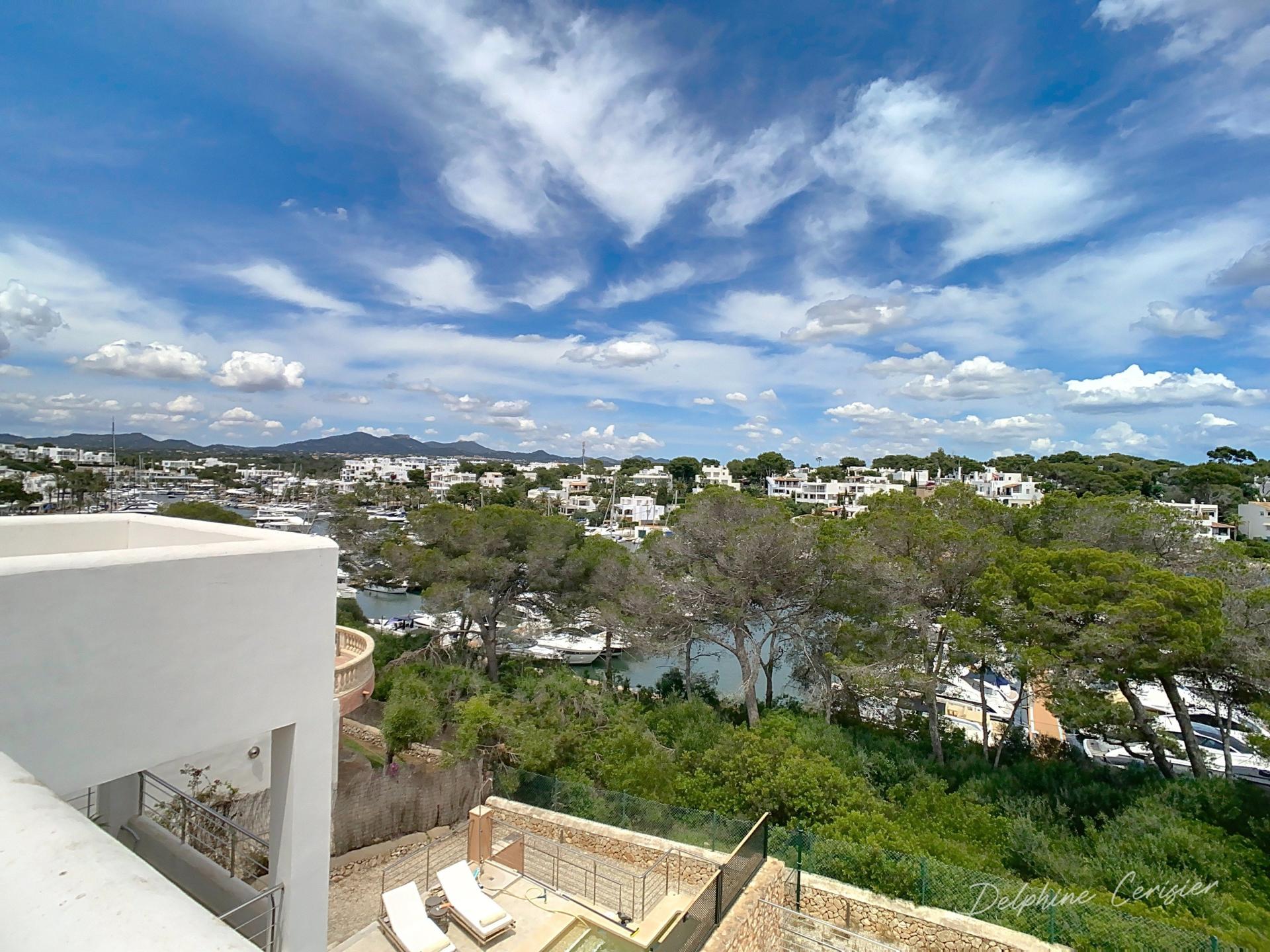 Photo 41 de l'annonce.