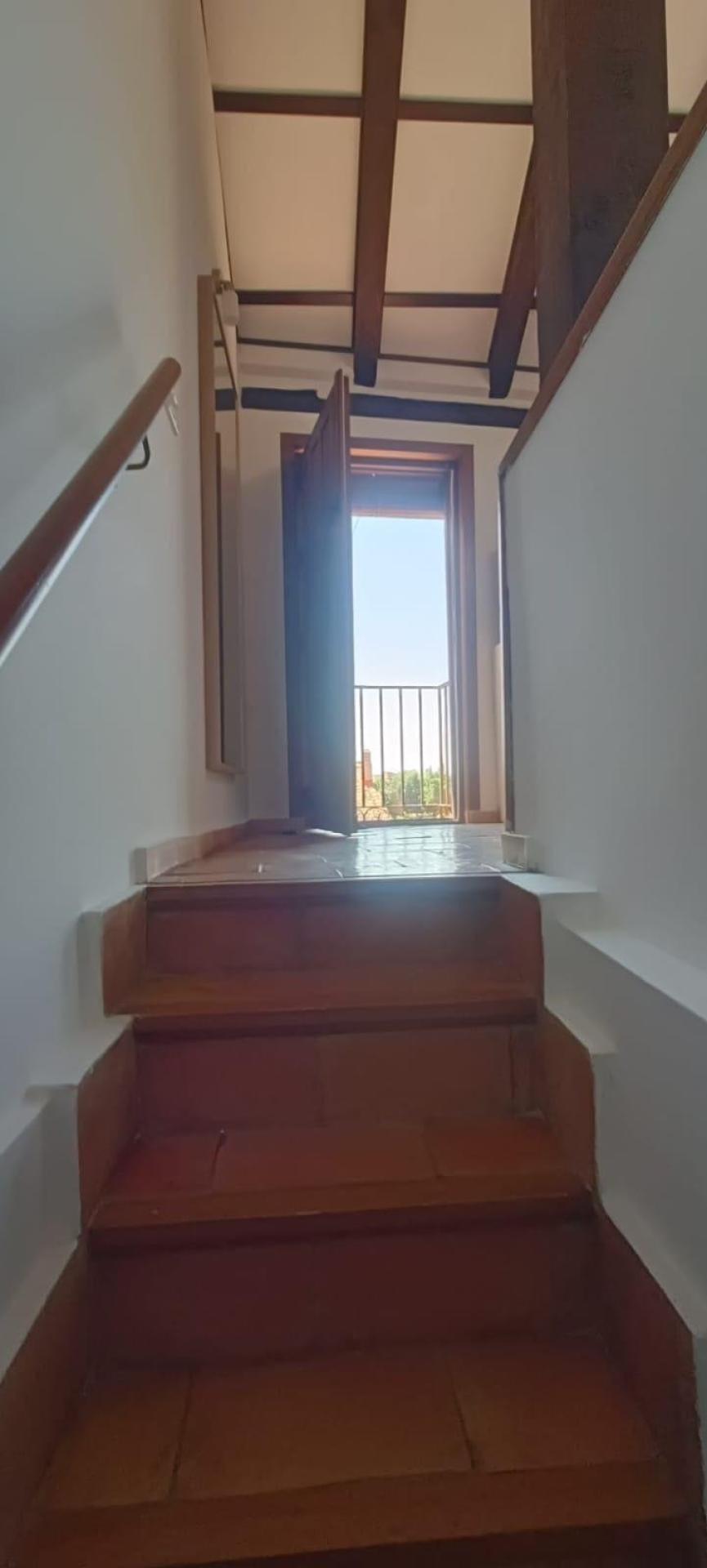 Photo 18 de l'annonce.