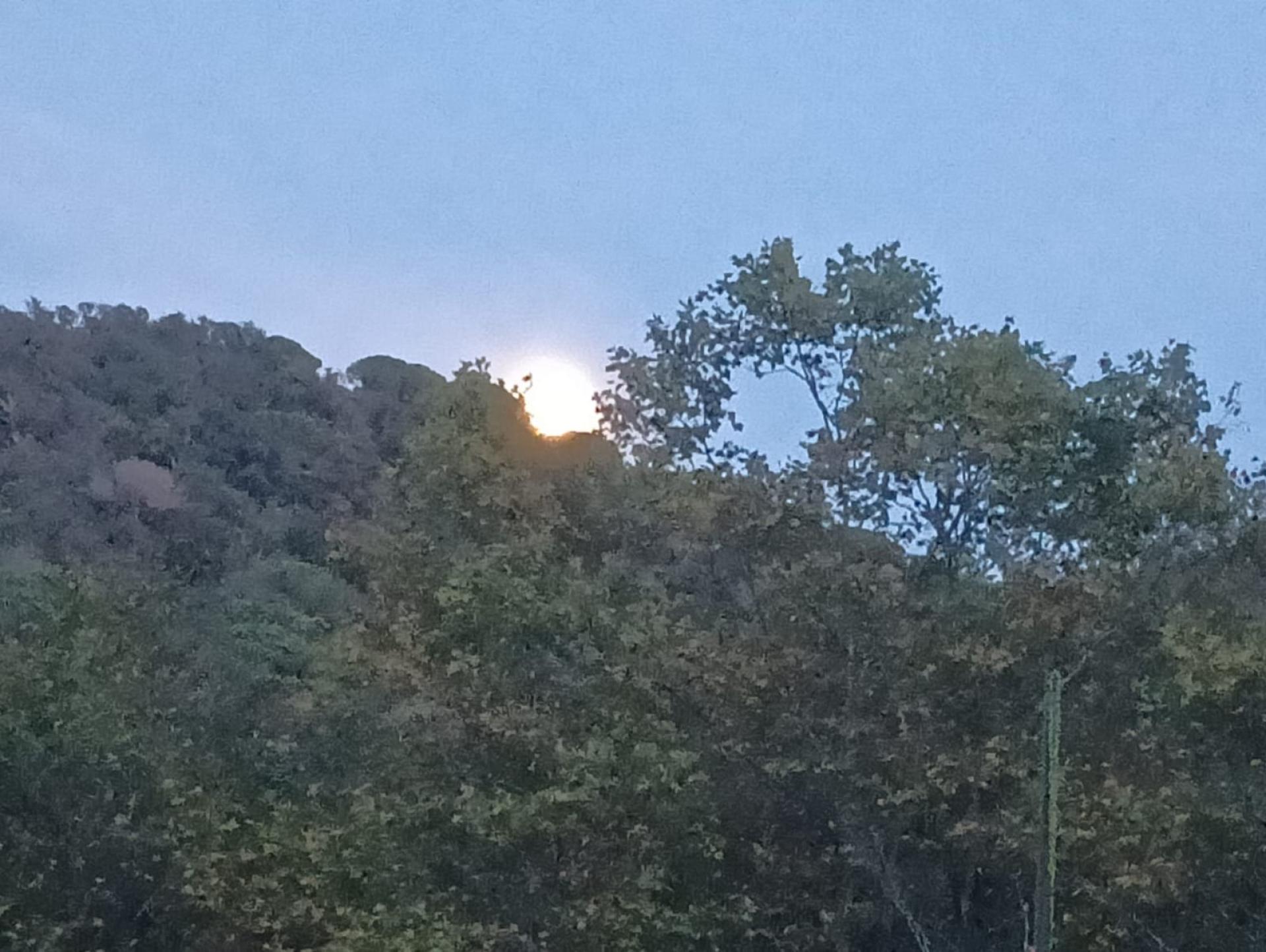 Photo 35 de l'annonce.