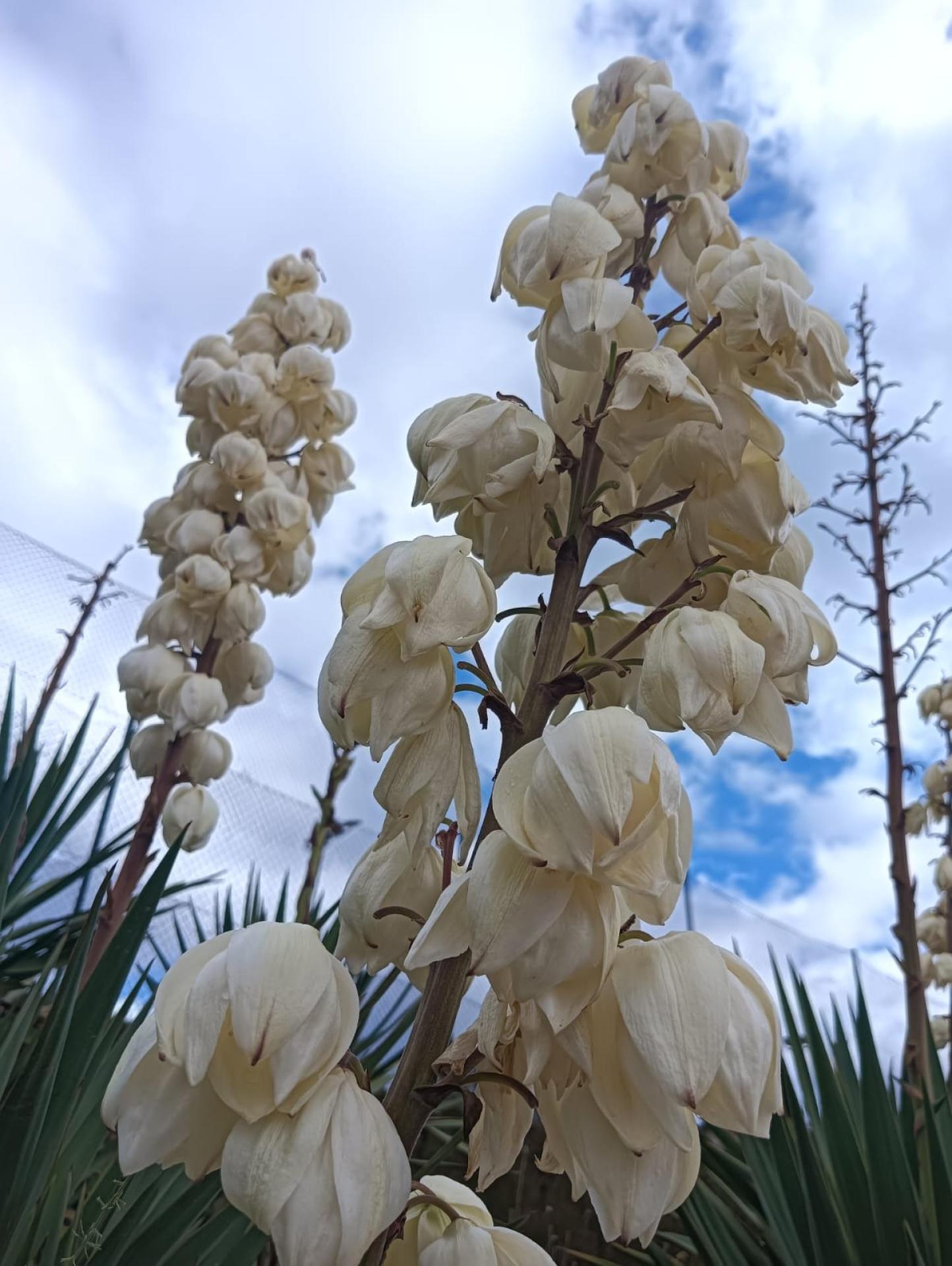 Photo 32 de l'annonce.