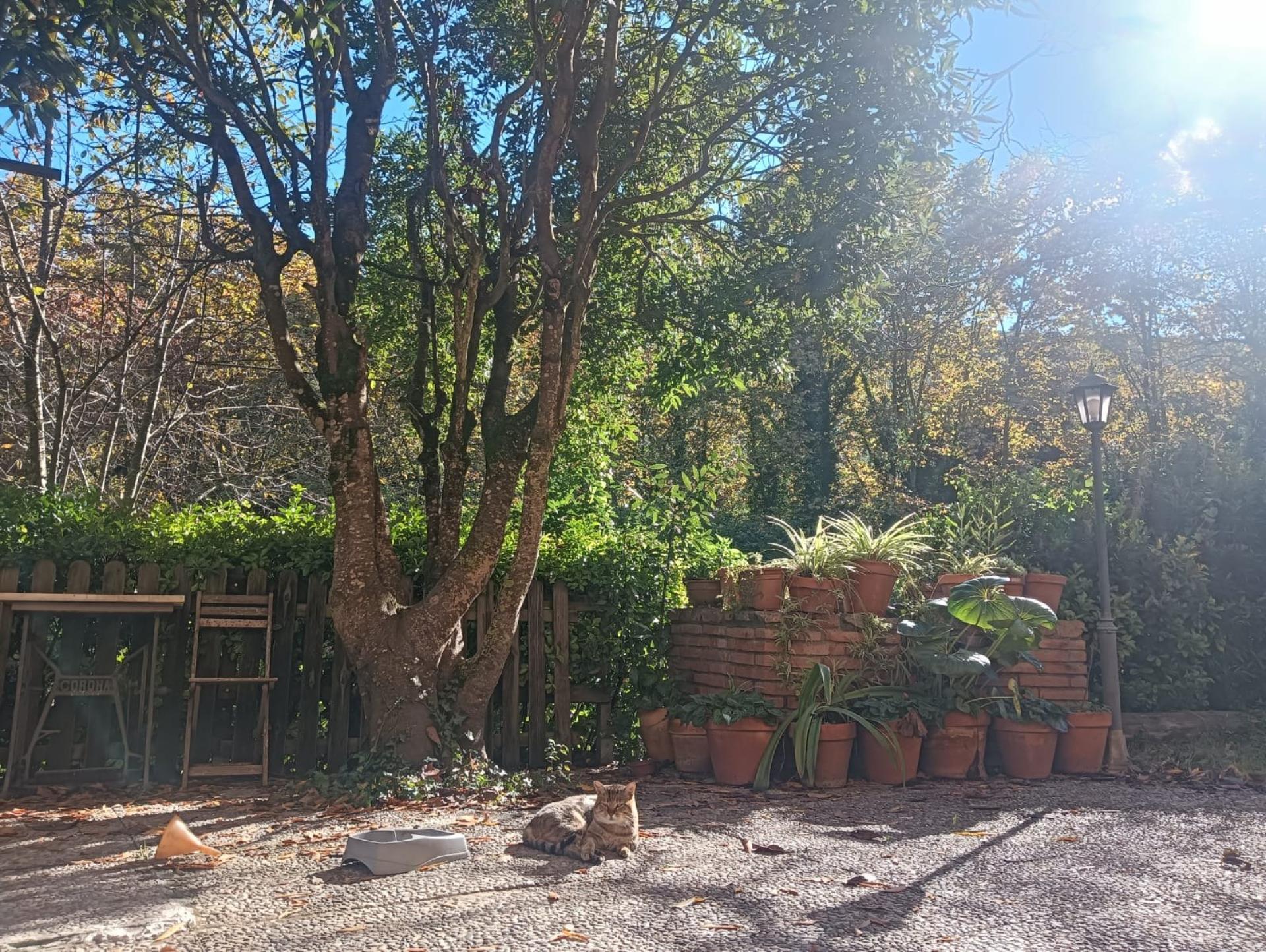 Photo 11 de l'annonce.