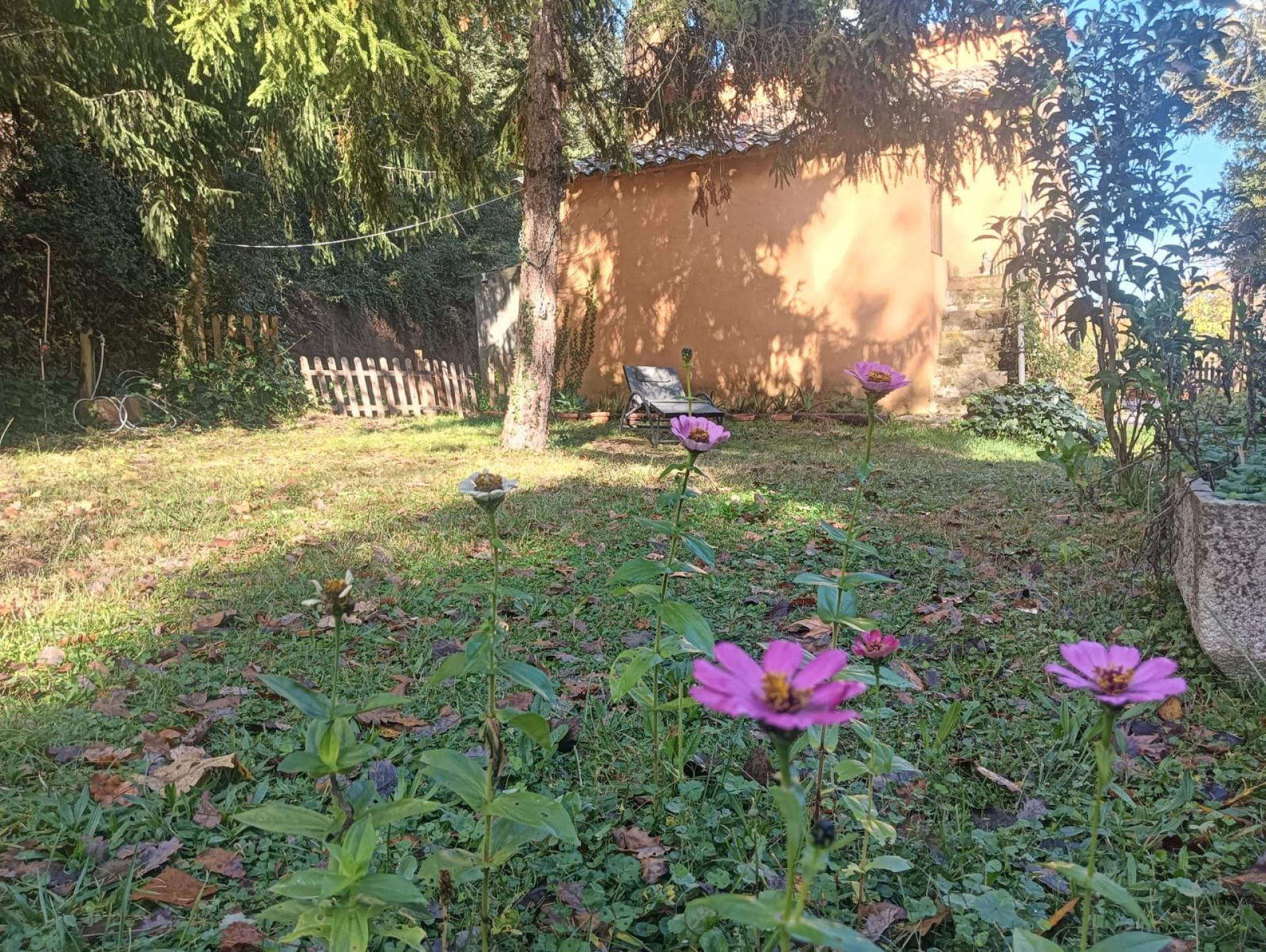 Photo 34 de l'annonce.