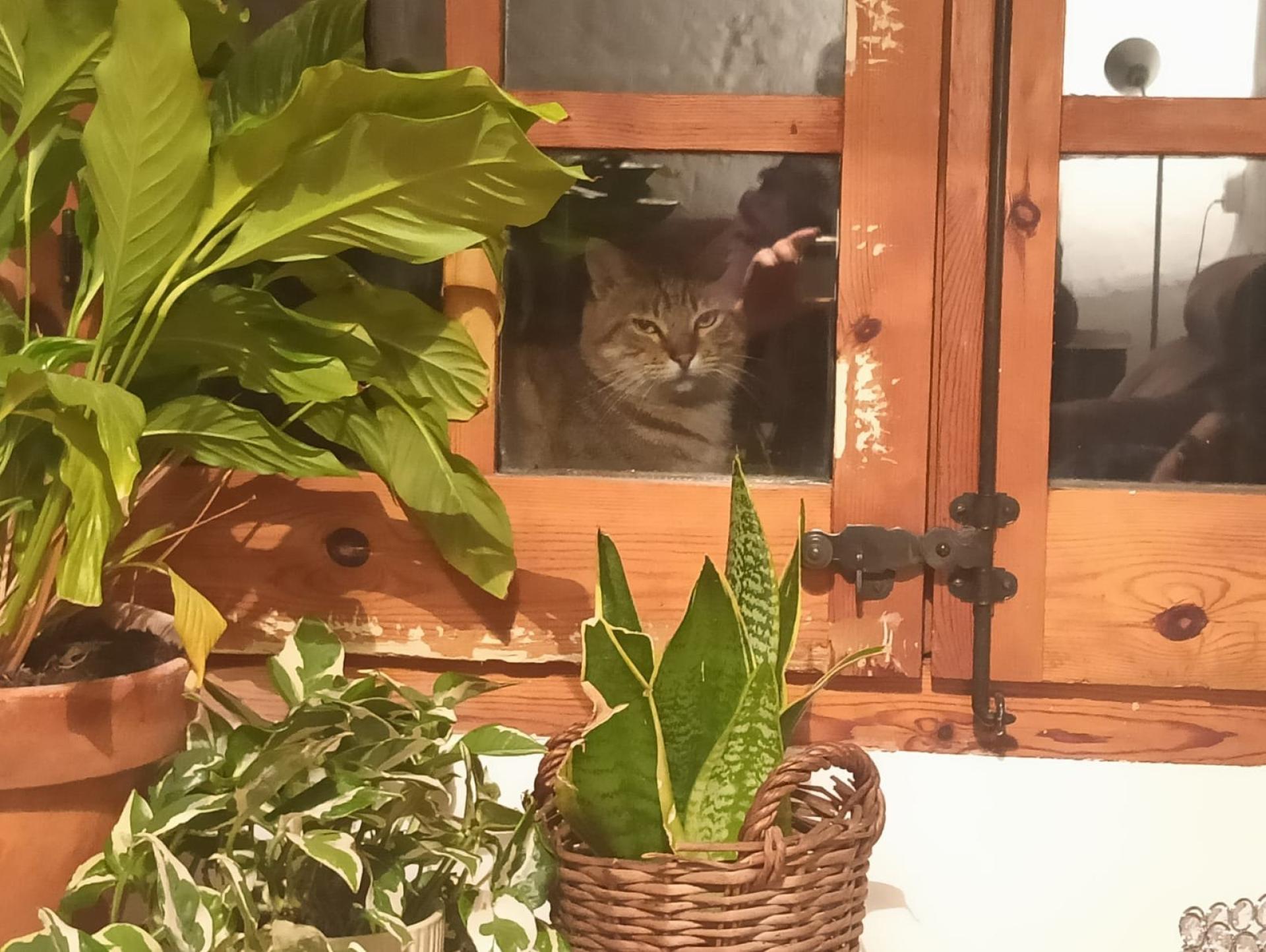 Photo 30 de l'annonce.