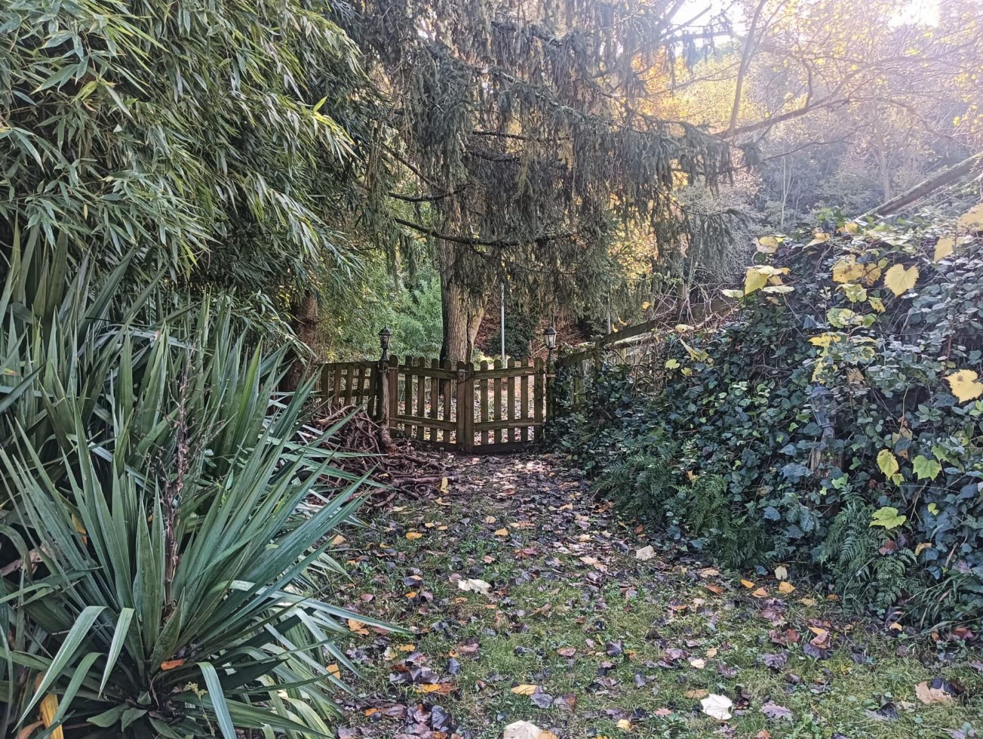 Photo 6 de l'annonce.