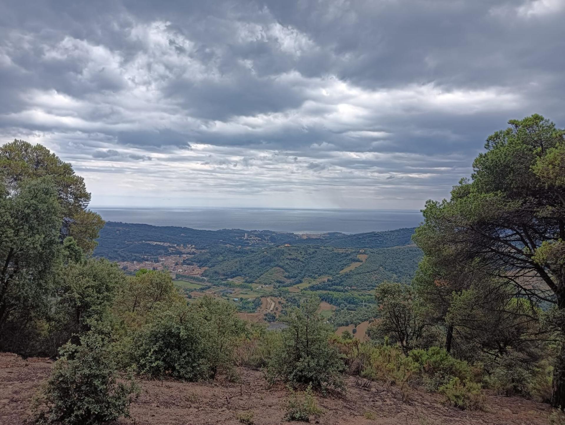 Photo 31 de l'annonce.