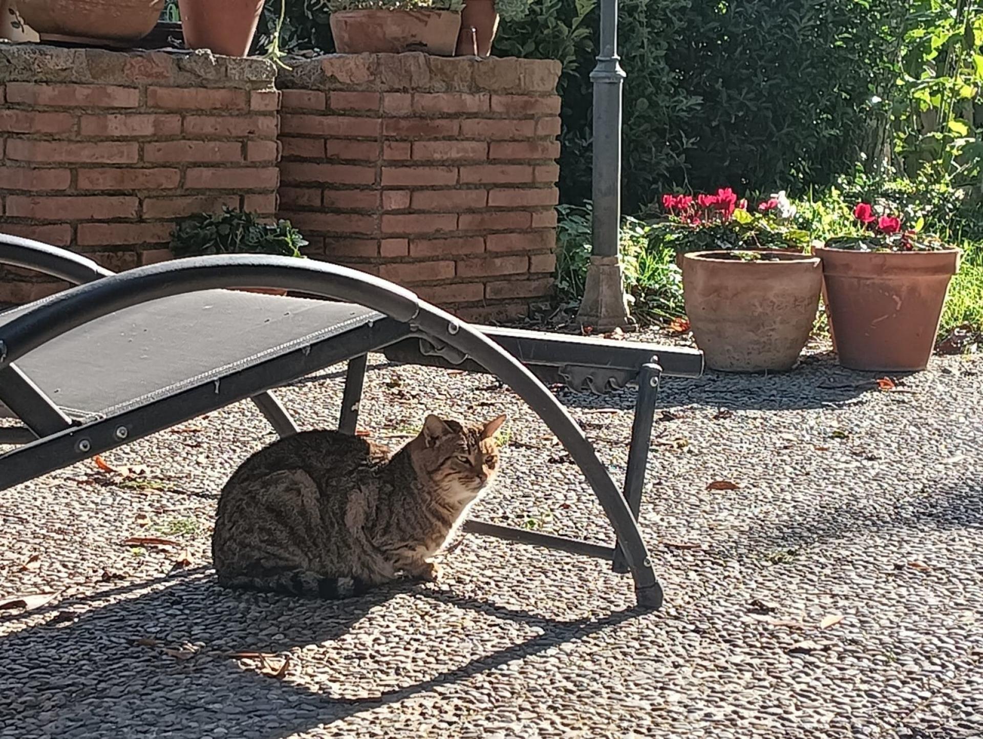 Photo 29 de l'annonce.