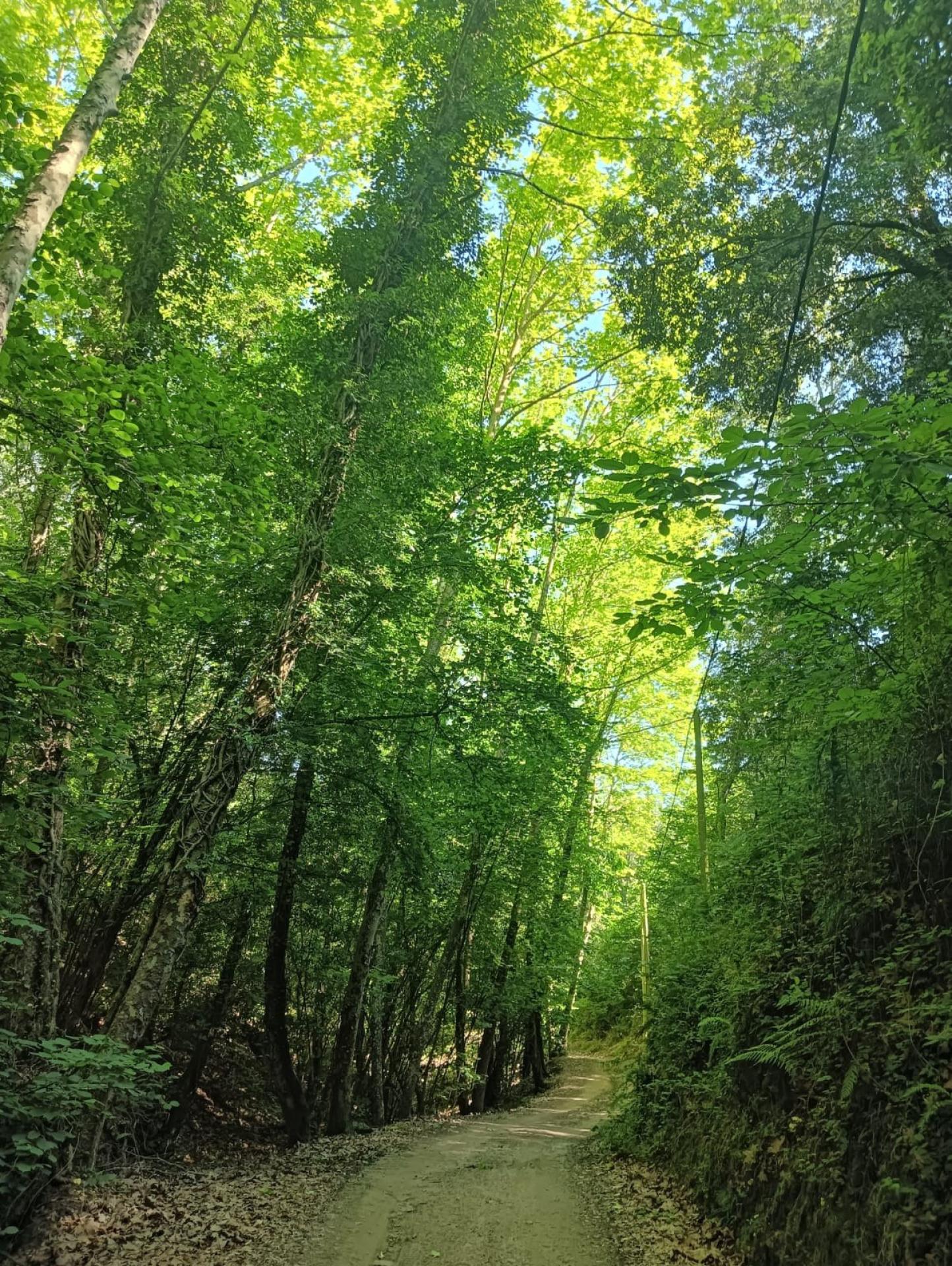 Photo 5 de l'annonce.