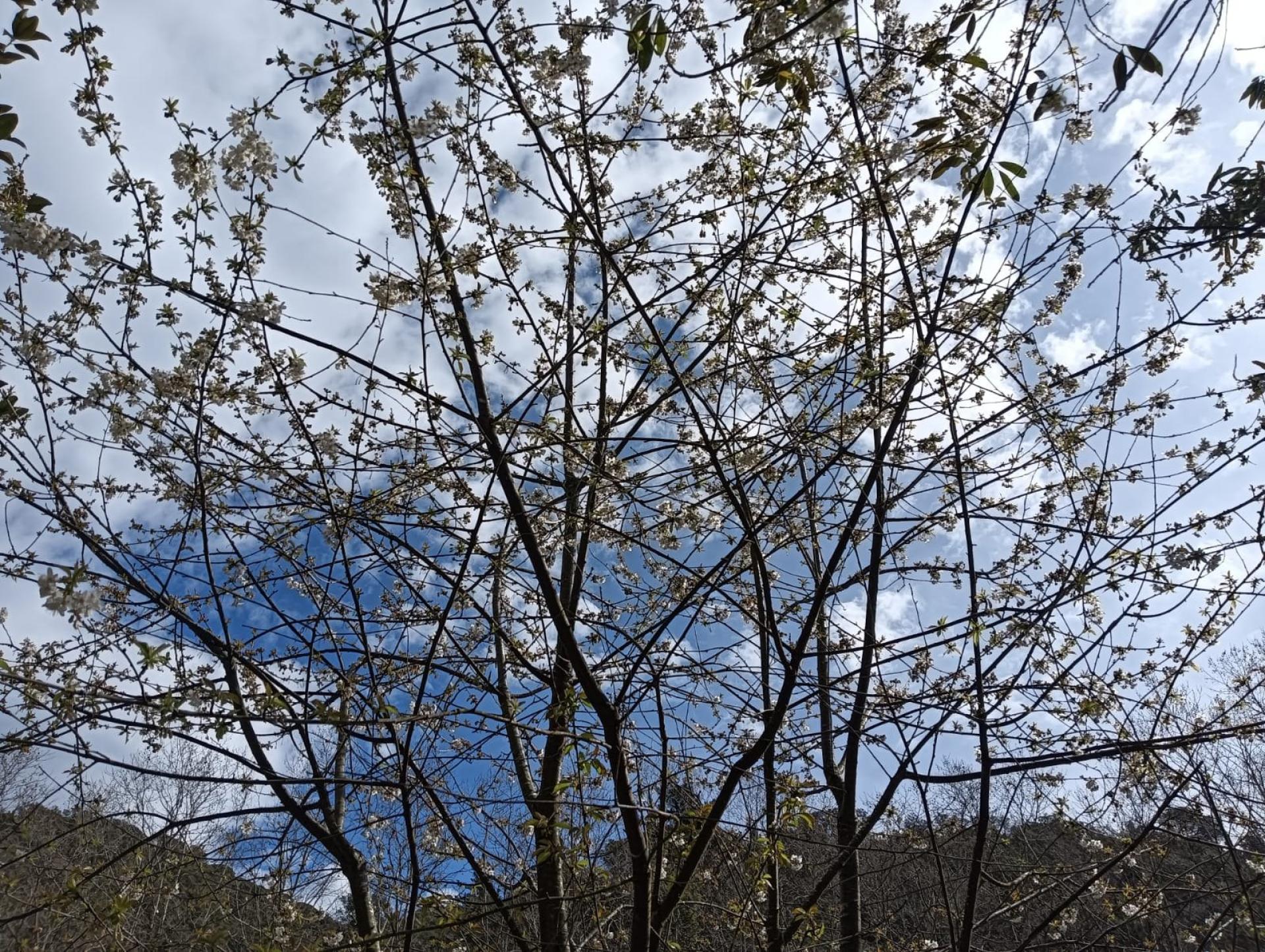 Photo 28 de l'annonce.