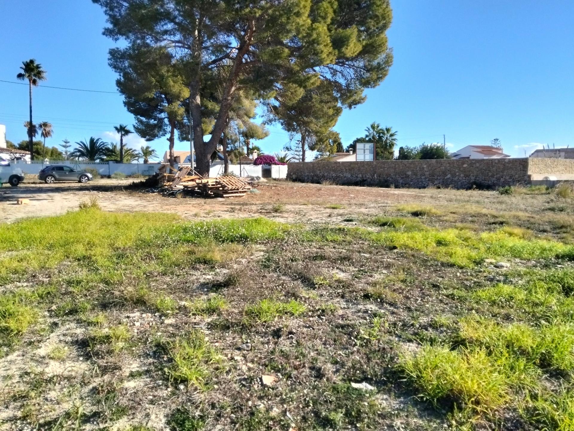 Photo 4 de l'annonce.