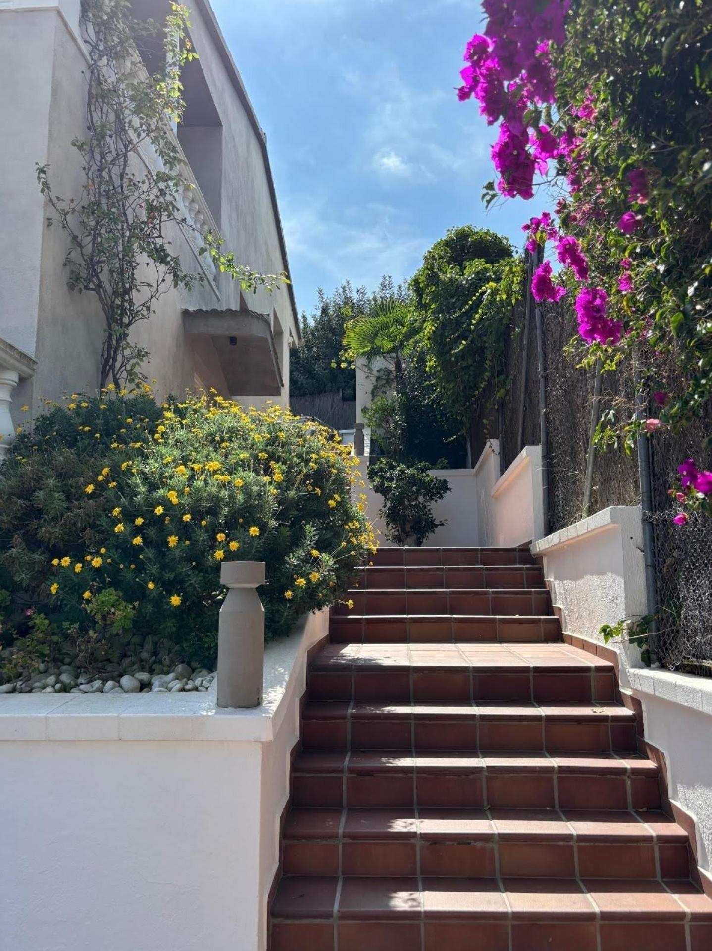 Photo 24 de l'annonce.