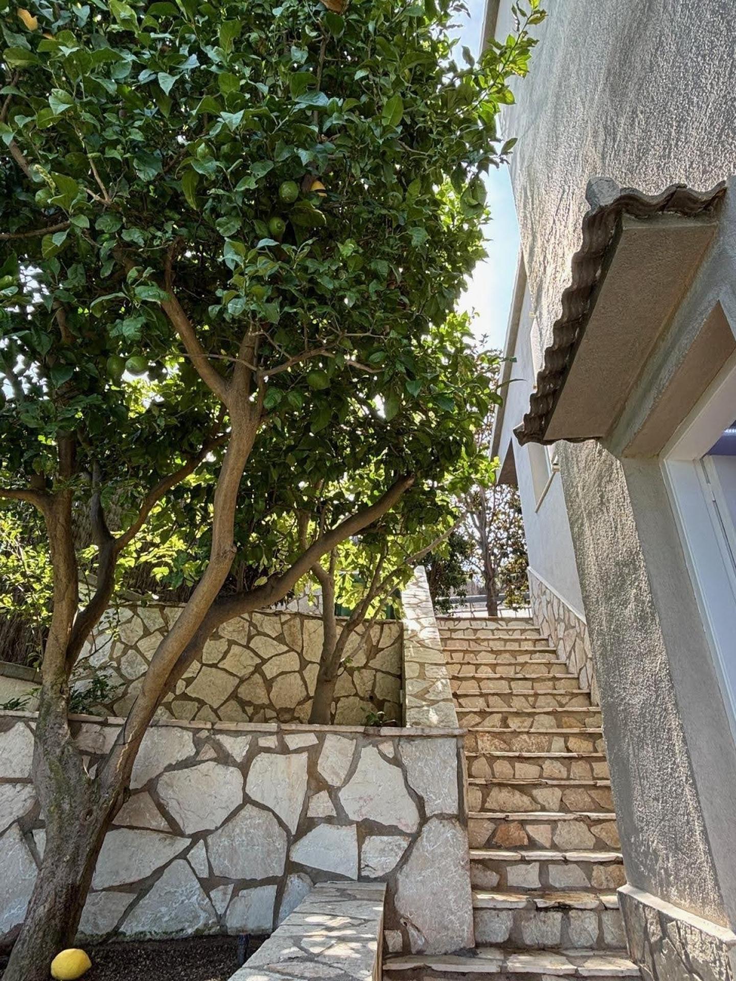 Photo 31 de l'annonce.