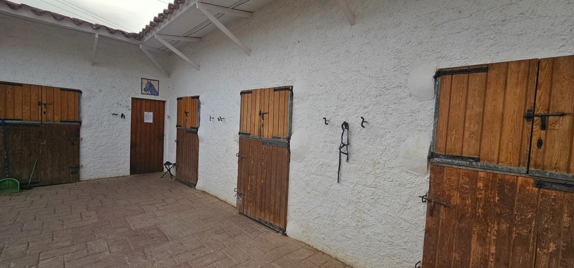 Photo 36 de l'annonce.