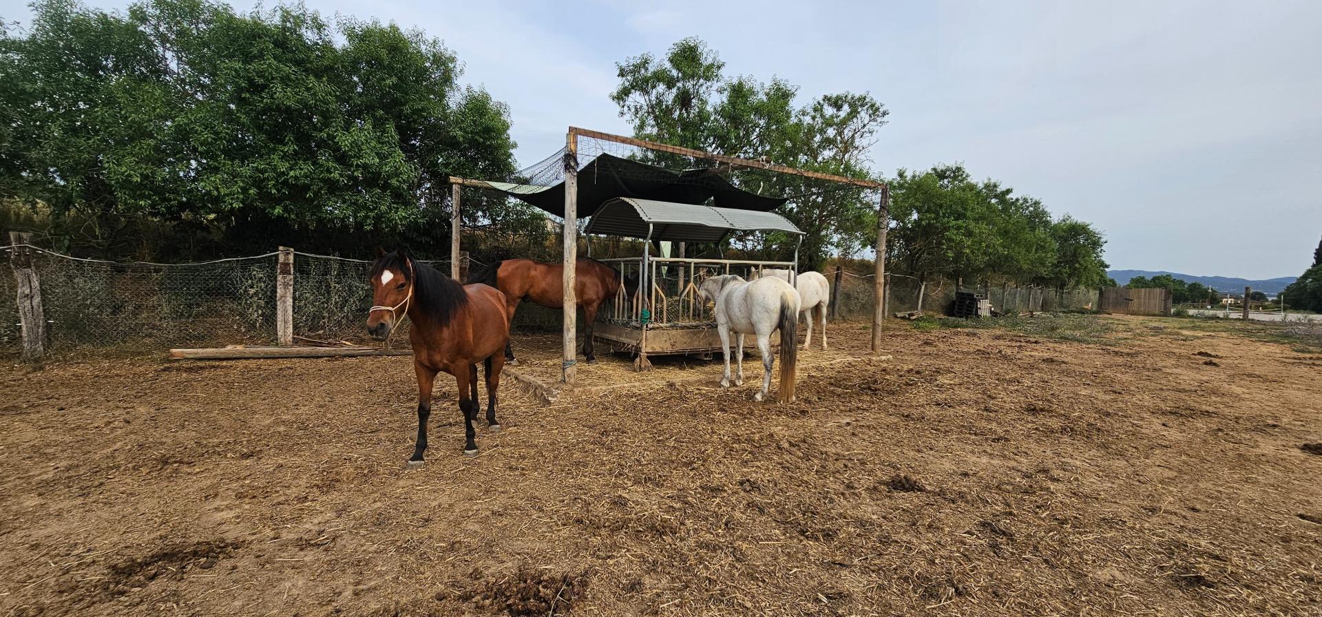 Photo 31 de l'annonce.