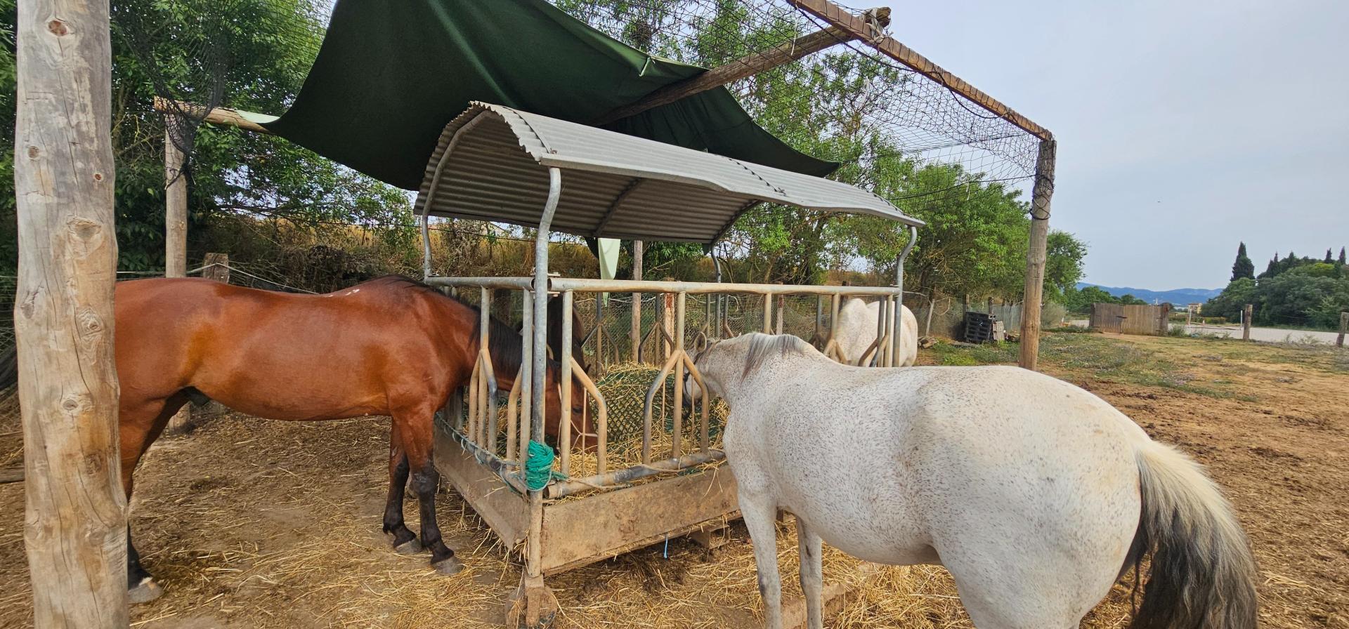 Photo 33 de l'annonce.