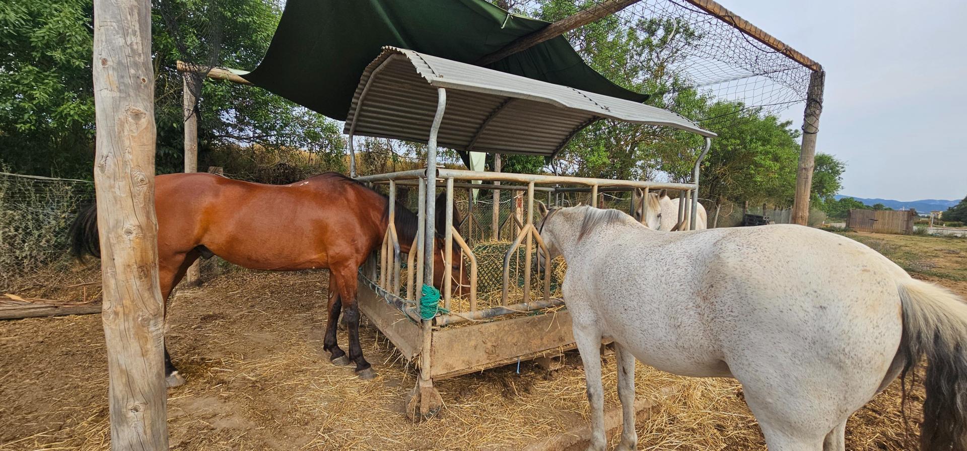 Photo 32 de l'annonce.