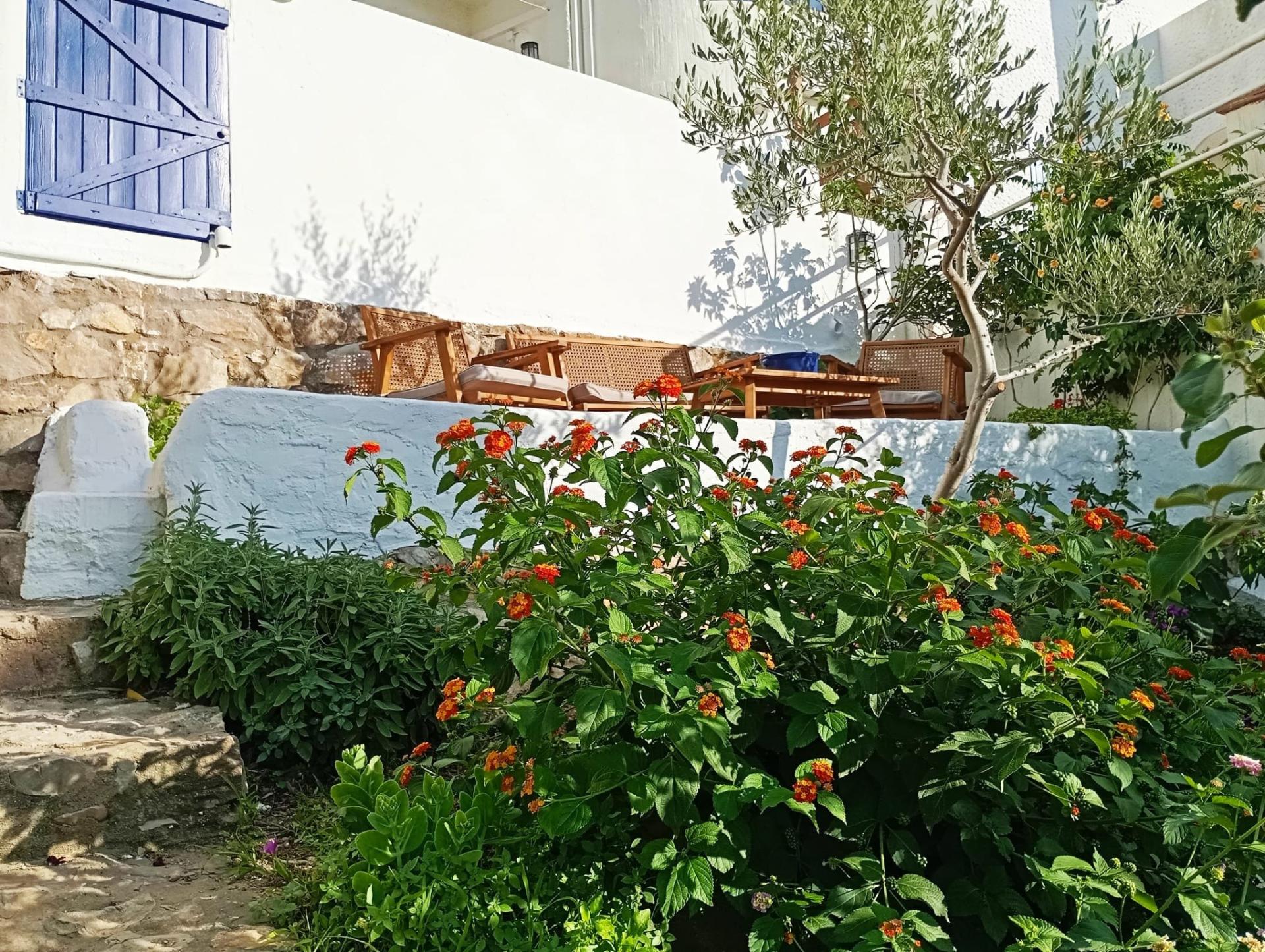 Photo 6 de l'annonce.