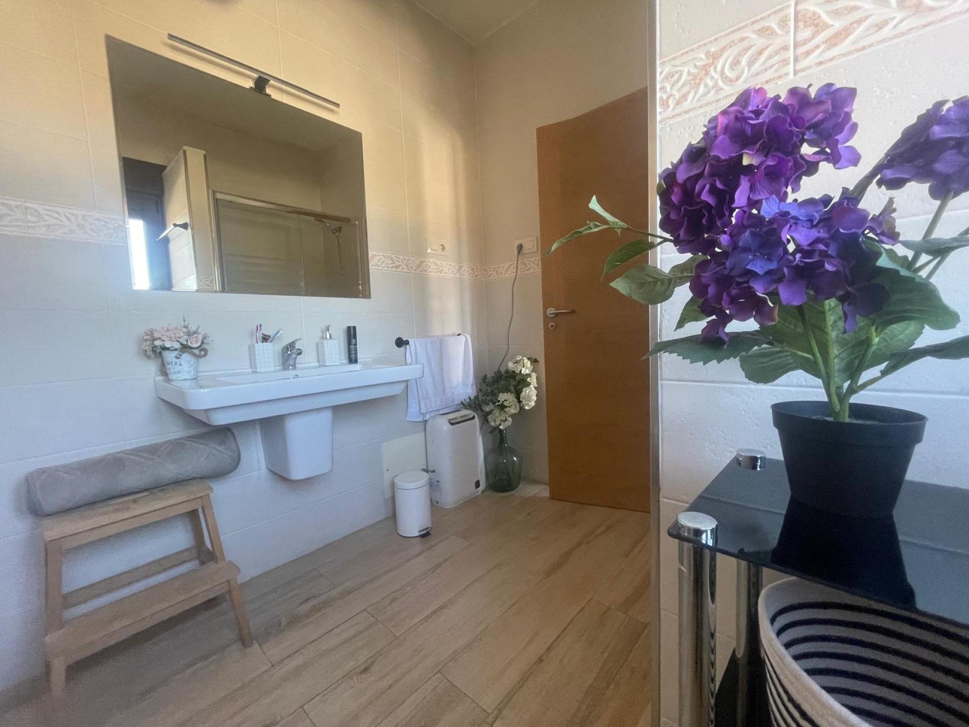 Photo 12 de l'annonce.