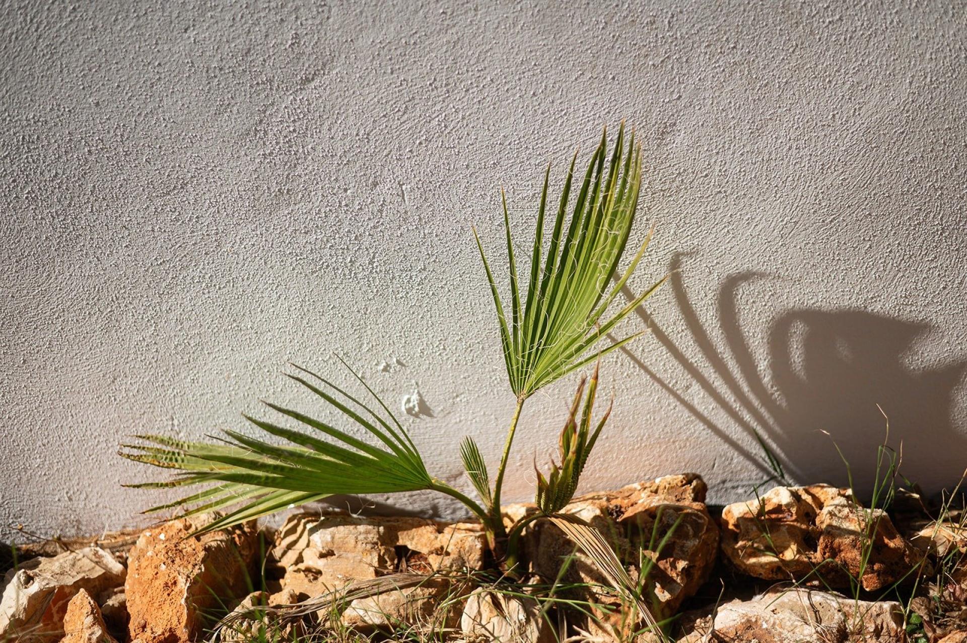 Photo 25 de l'annonce.