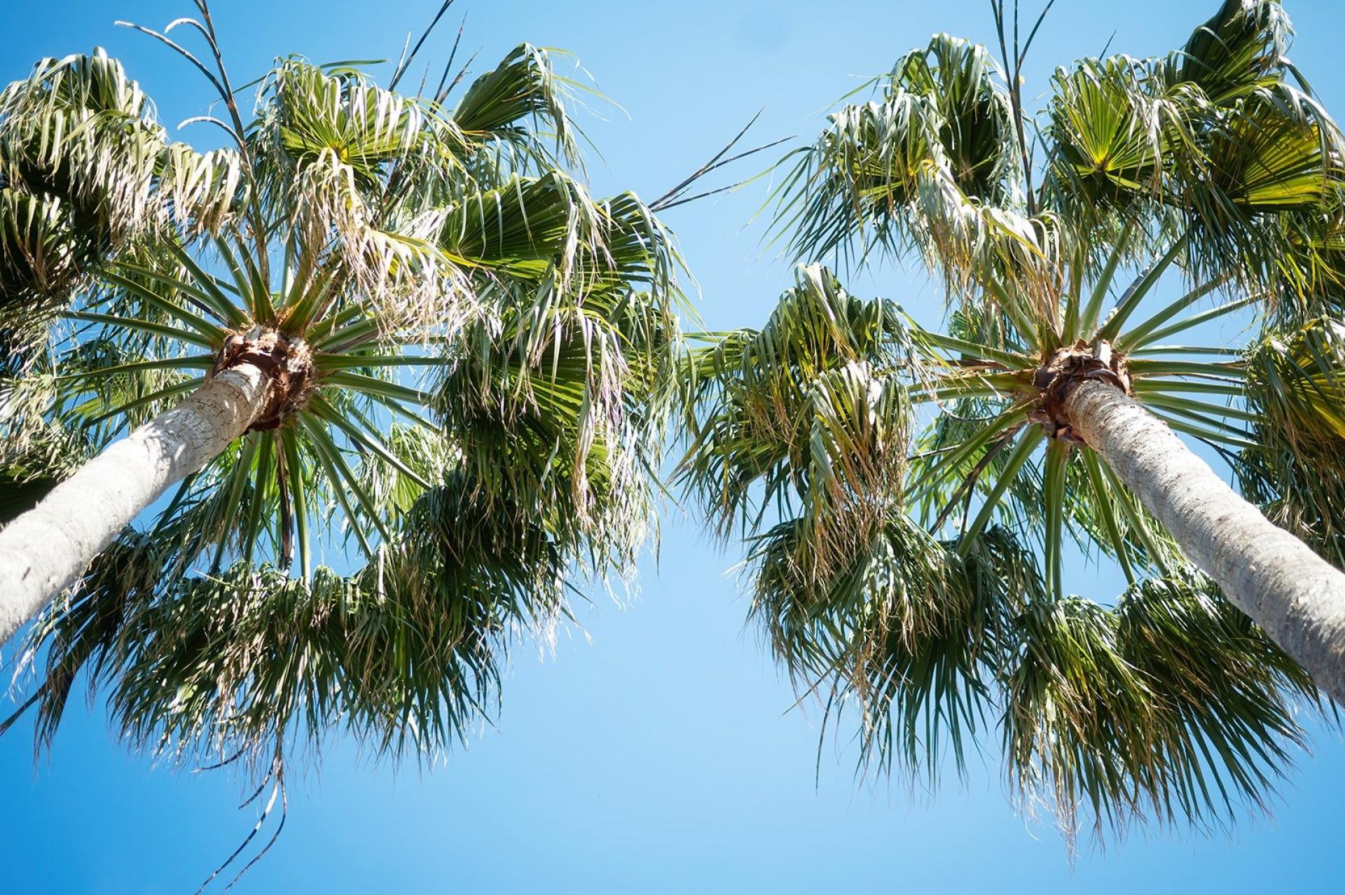 Photo 24 de l'annonce.