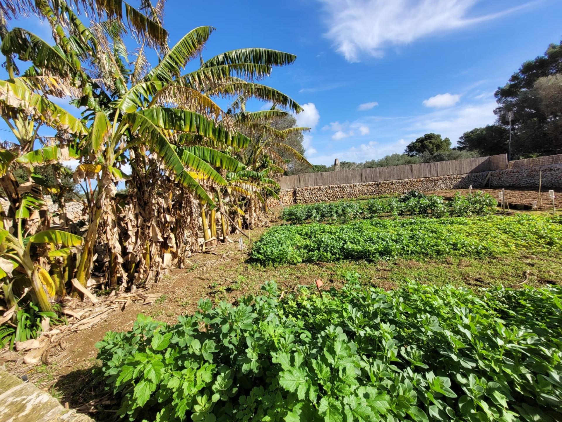 Photo 49 de l'annonce.