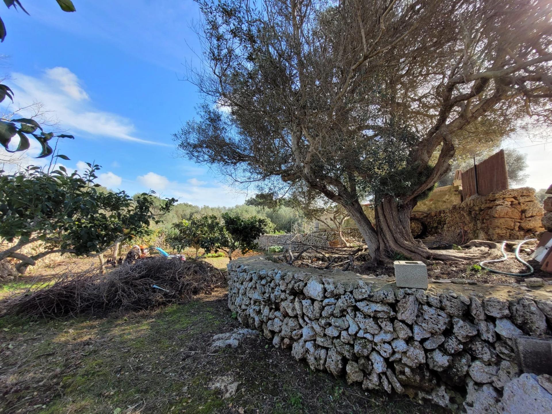 Photo 50 de l'annonce.