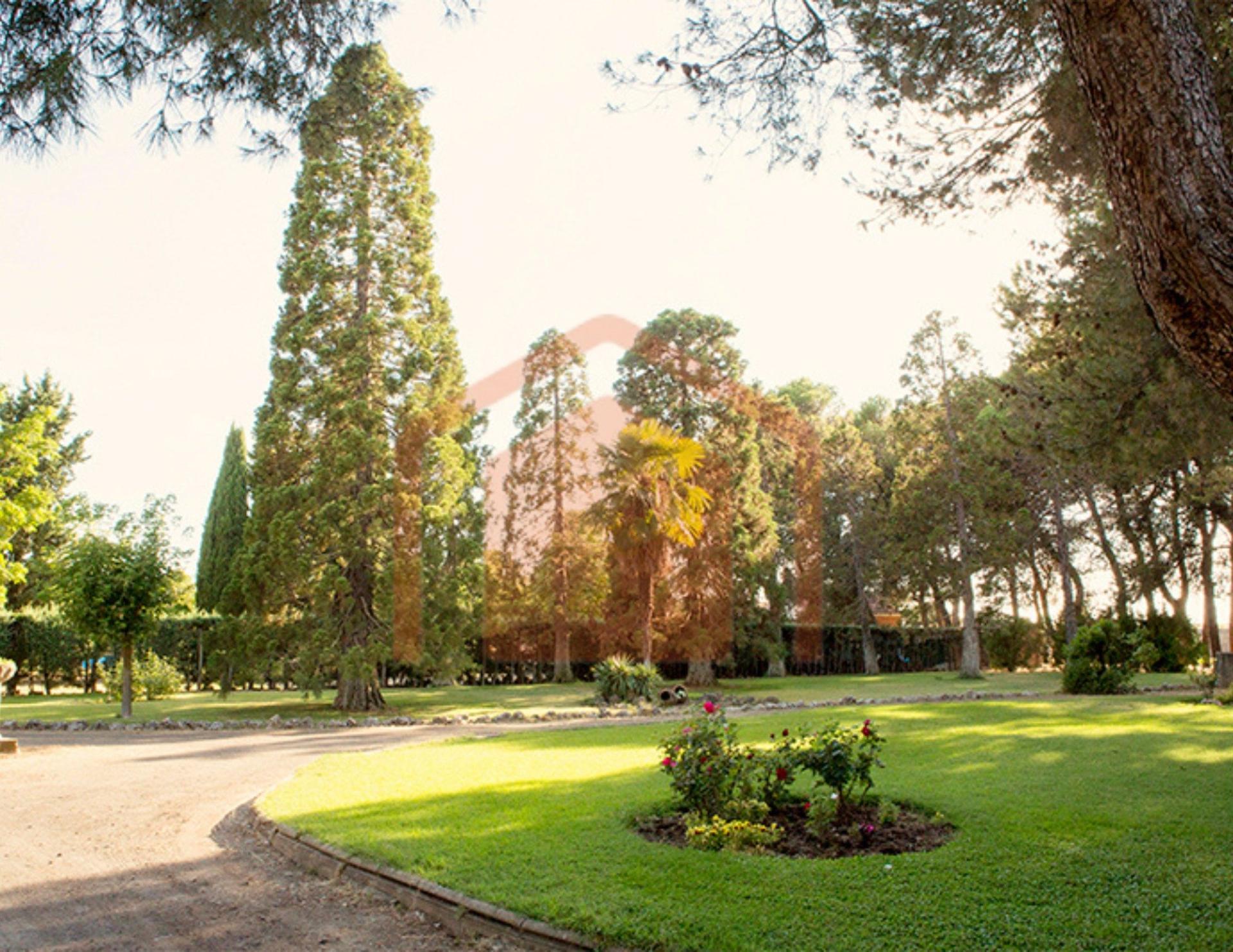 Photo 33 de l'annonce.