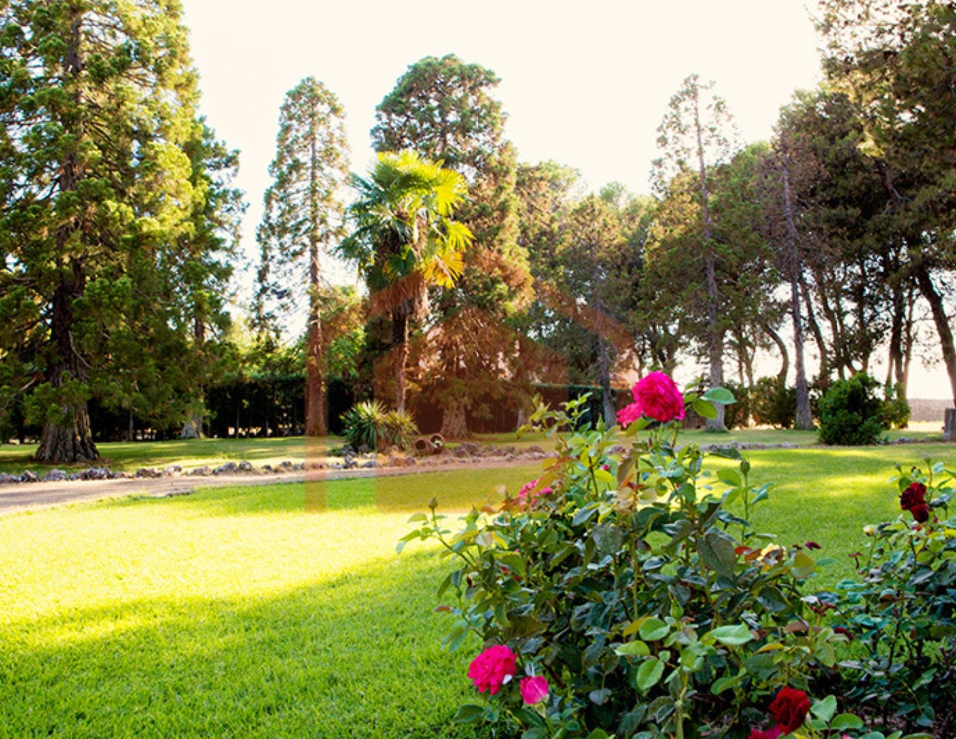 Photo 8 de l'annonce.