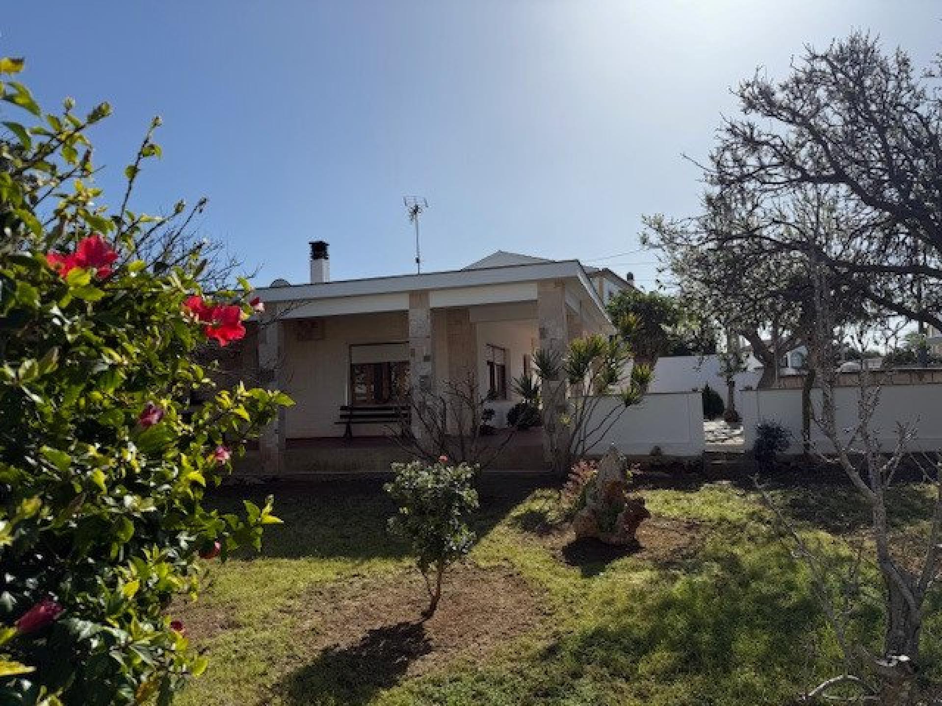 Photo 11 de l'annonce.