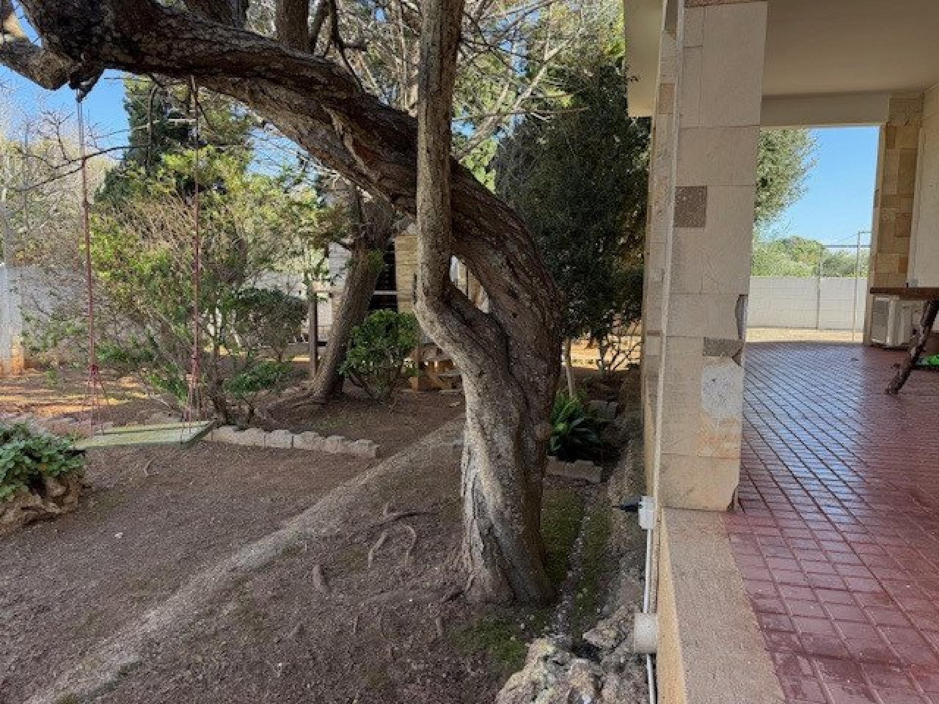 Photo 4 de l'annonce.