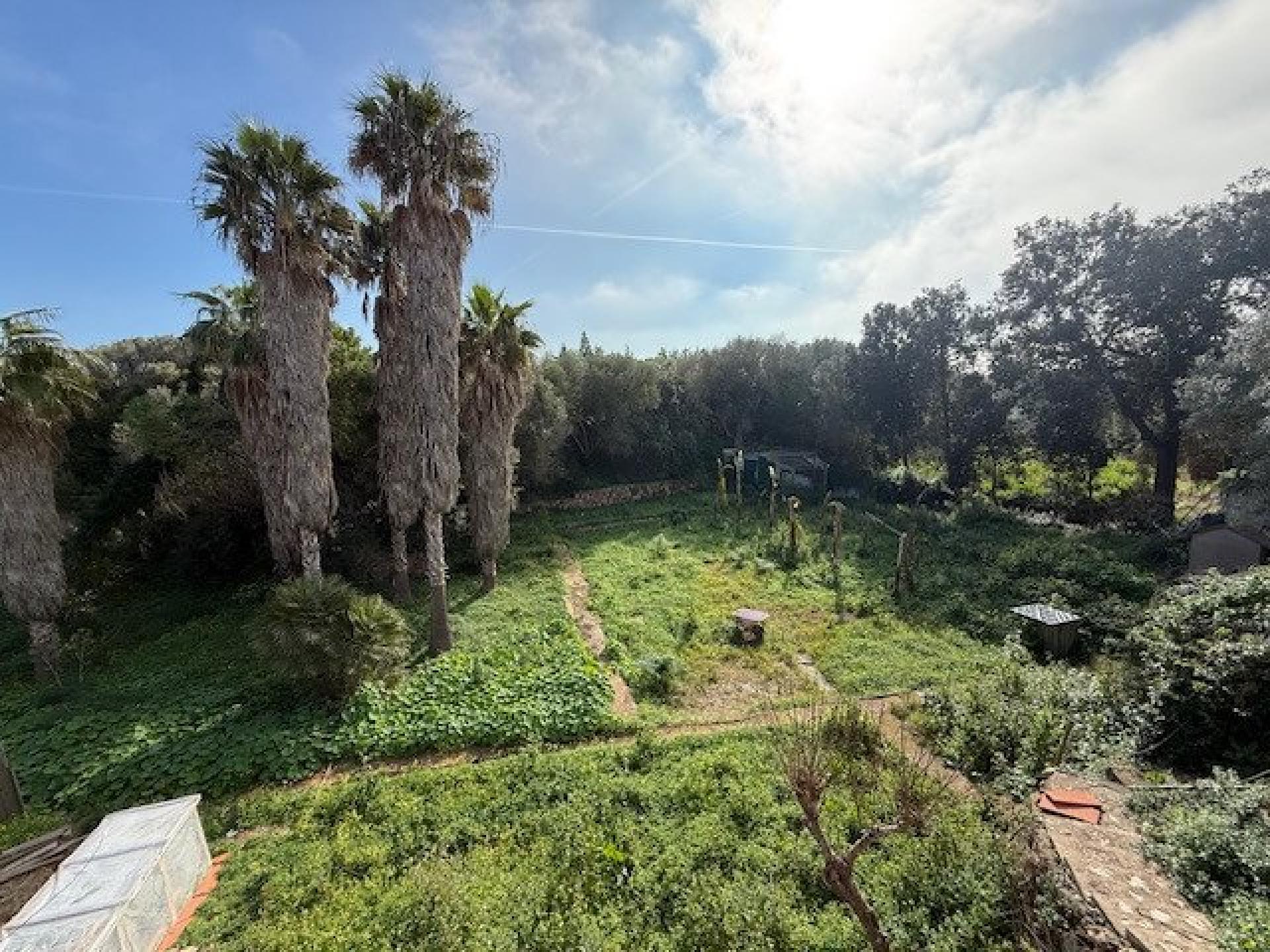 Photo 31 de l'annonce.