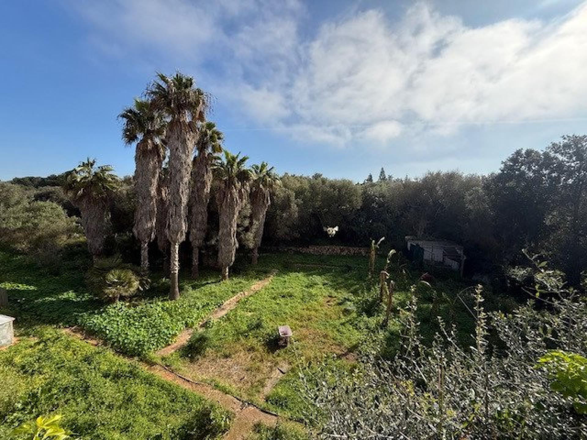 Photo 4 de l'annonce.