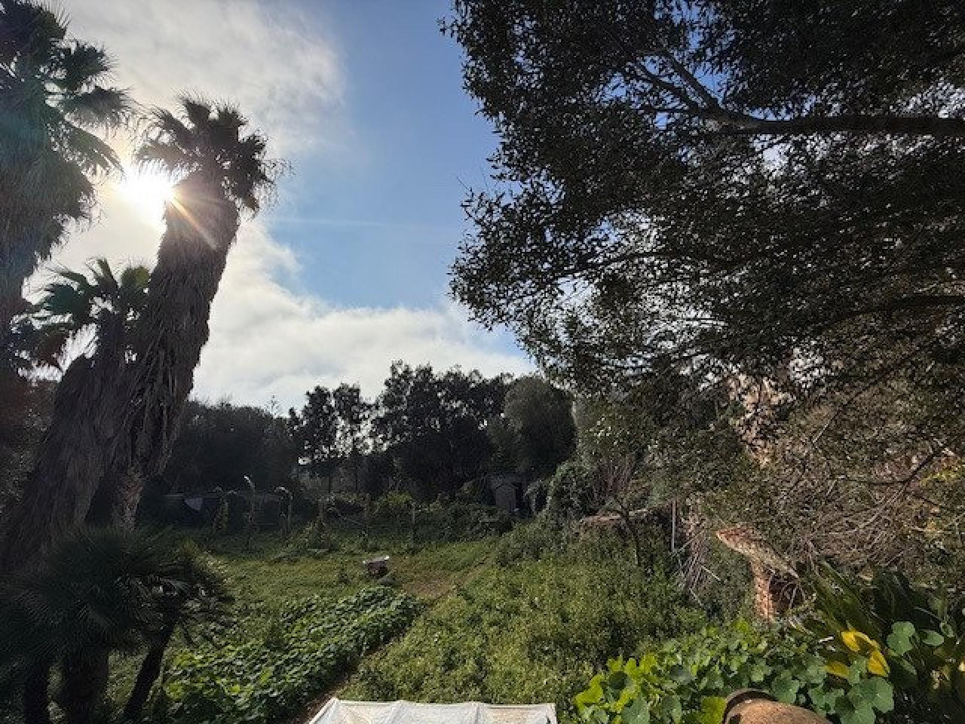 Photo 33 de l'annonce.