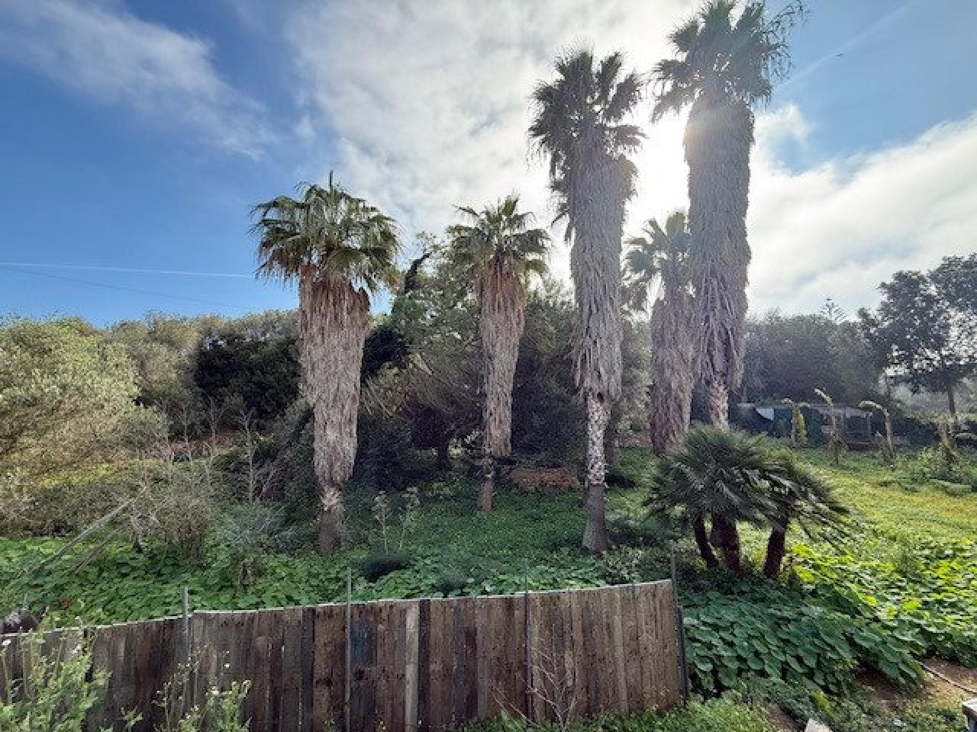 Photo 34 de l'annonce.