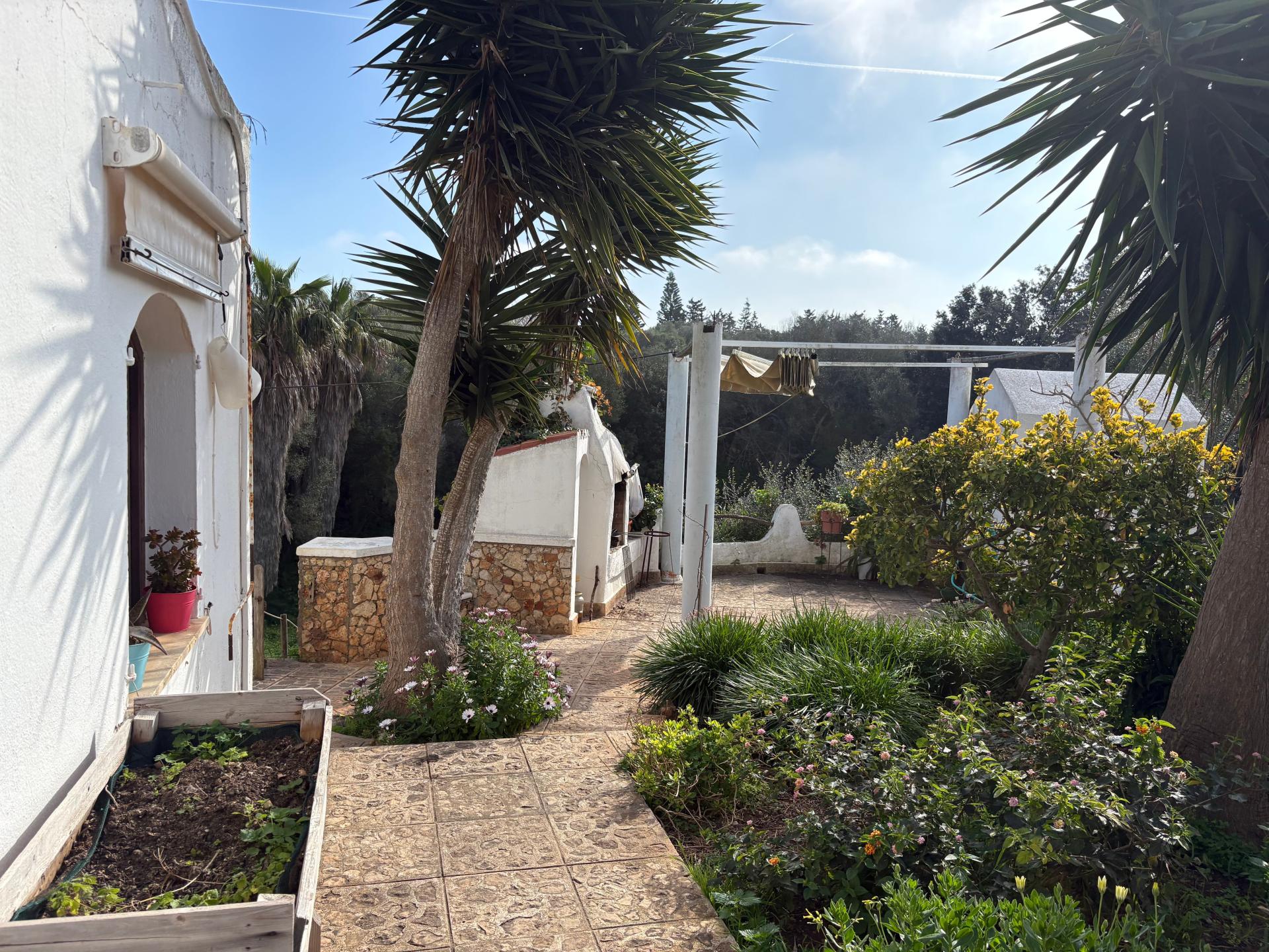 Photo 39 de l'annonce.