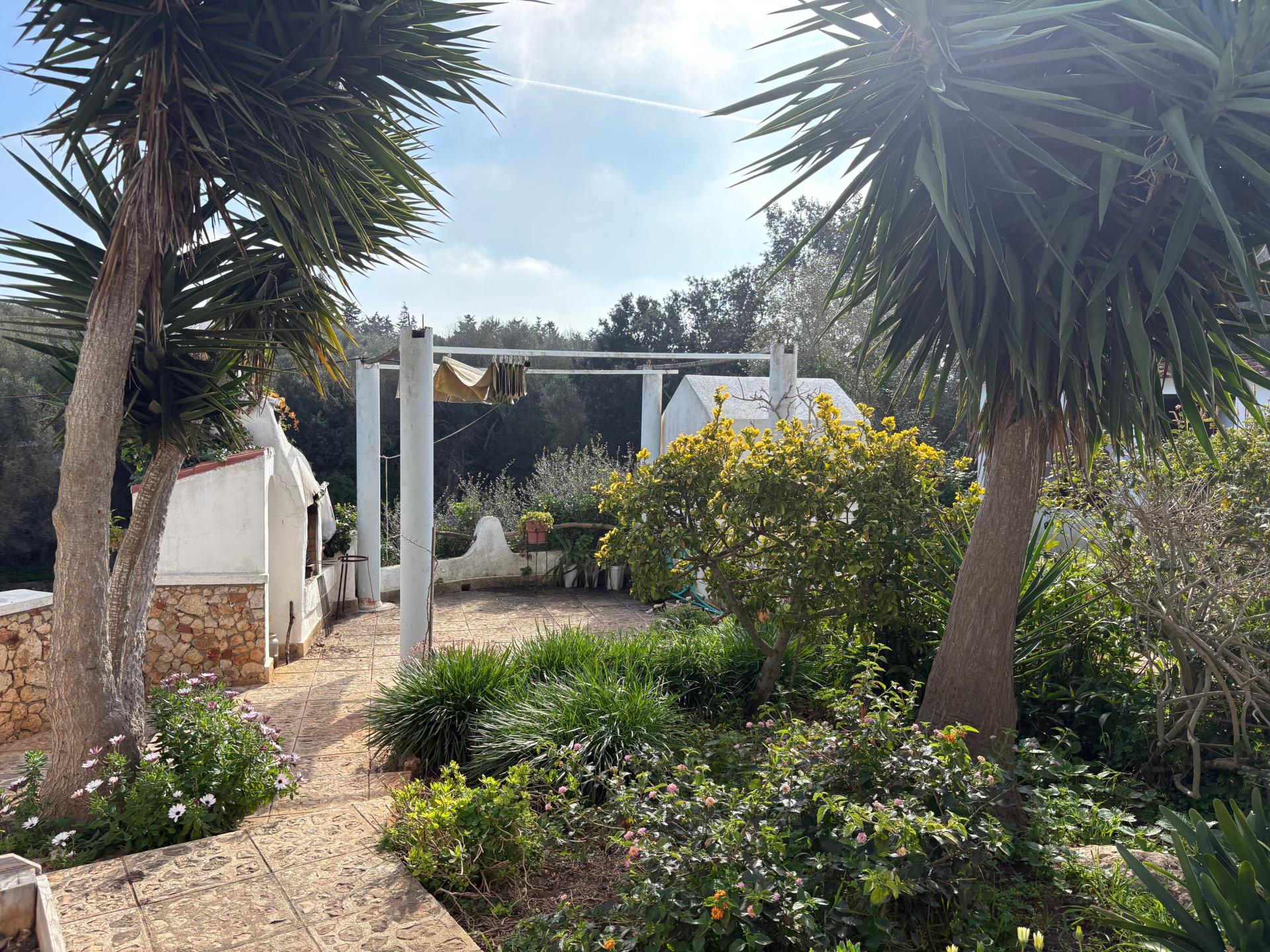 Photo 38 de l'annonce.